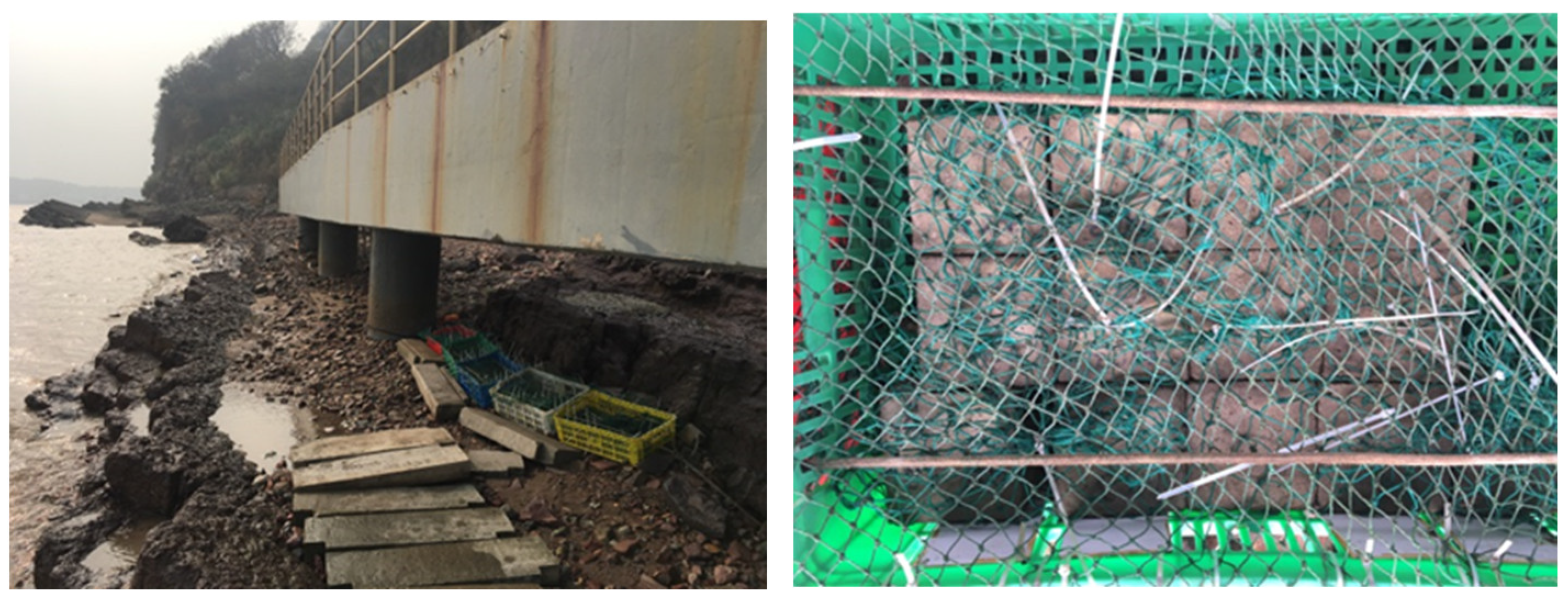 Materials 17 04600 g003