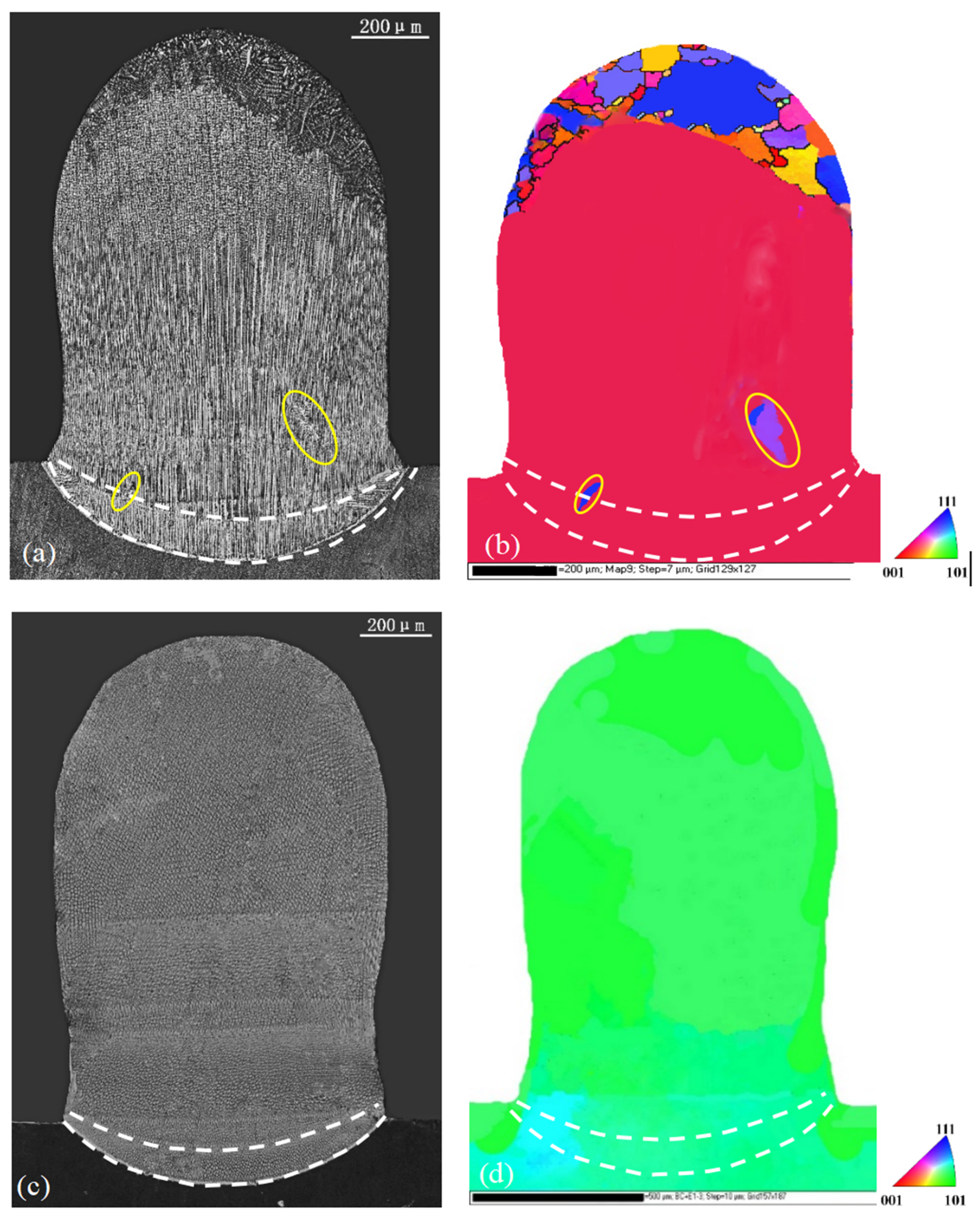 Materials 17 04607 g007