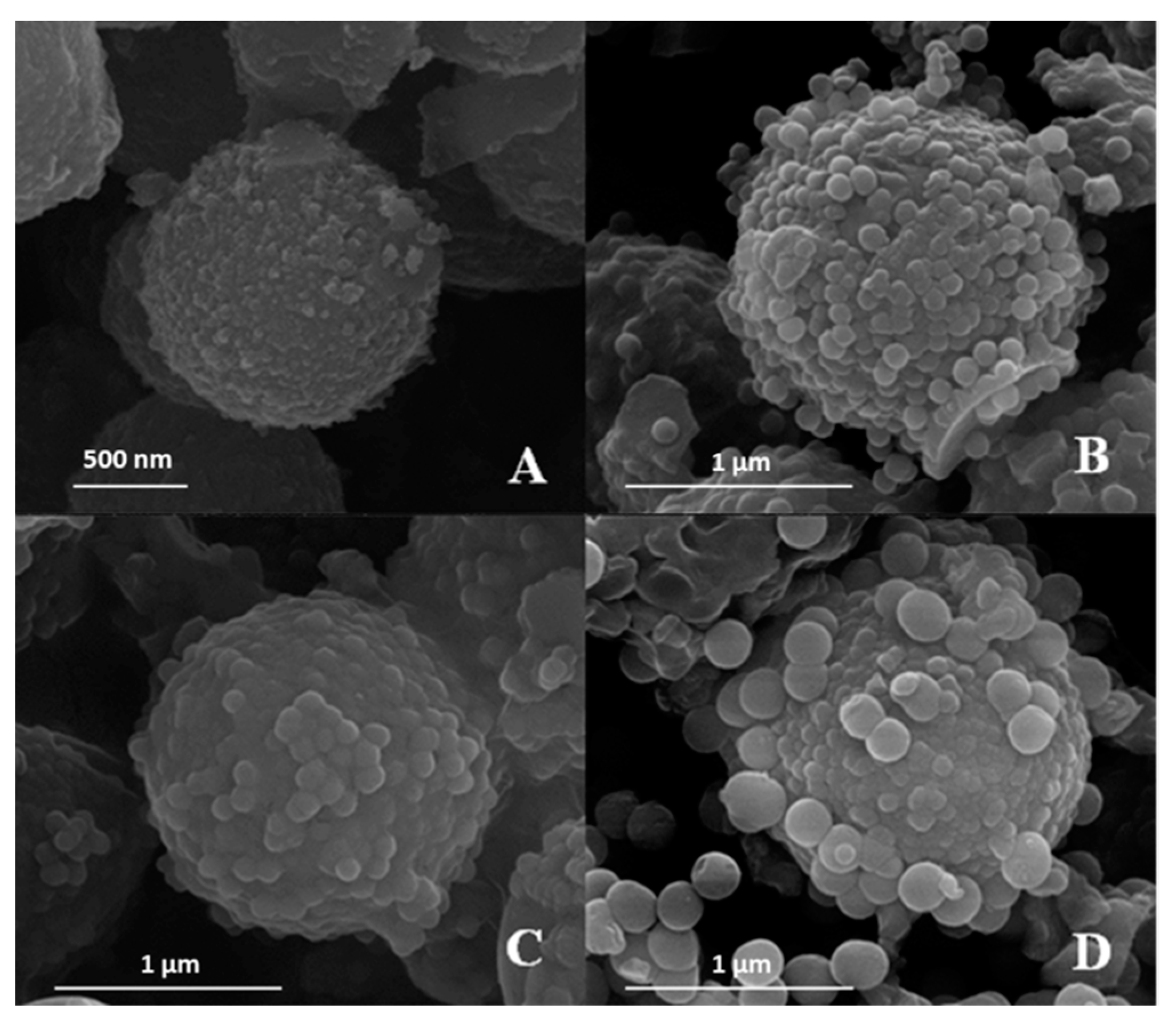 Materials 17 04621 g005