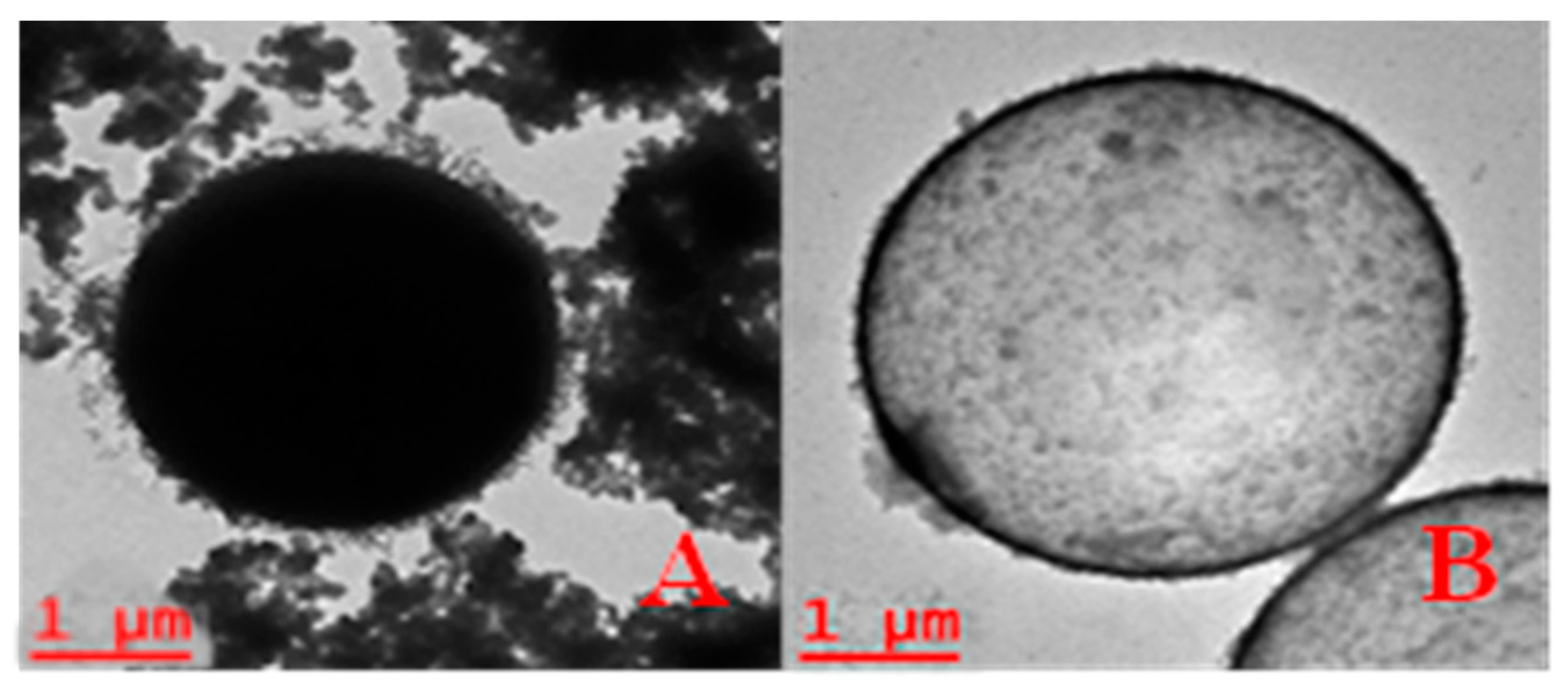 Materials 17 04621 g006