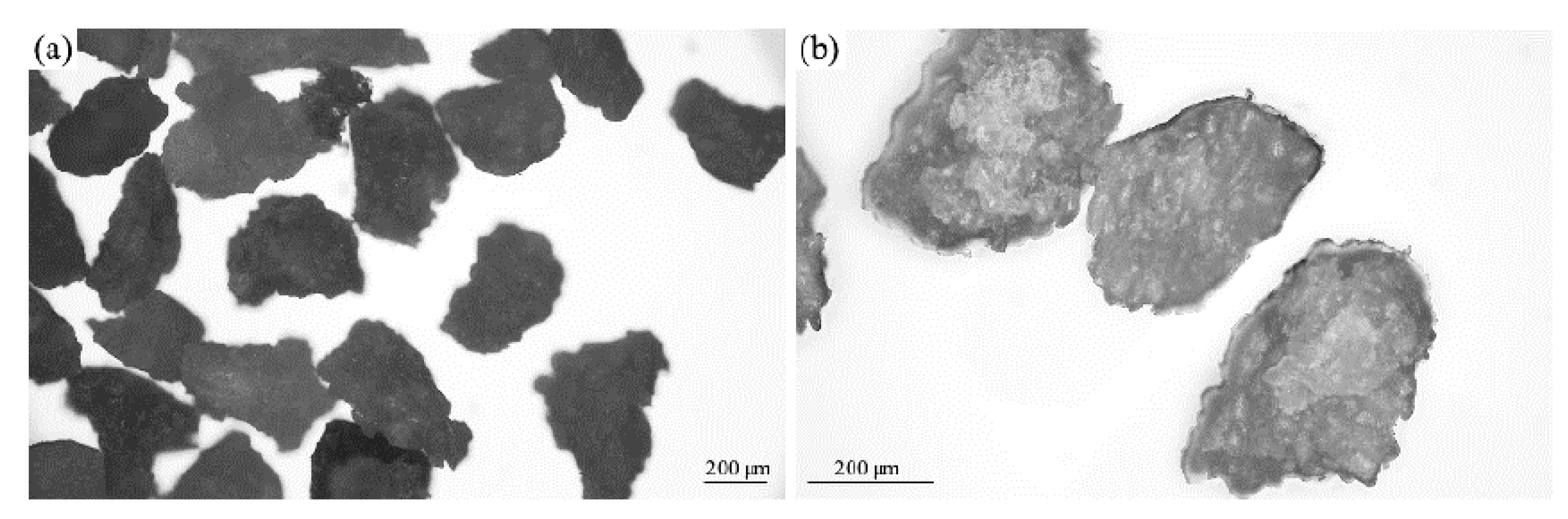 Materials 17 04629 g002 Materials 17 04629 g002