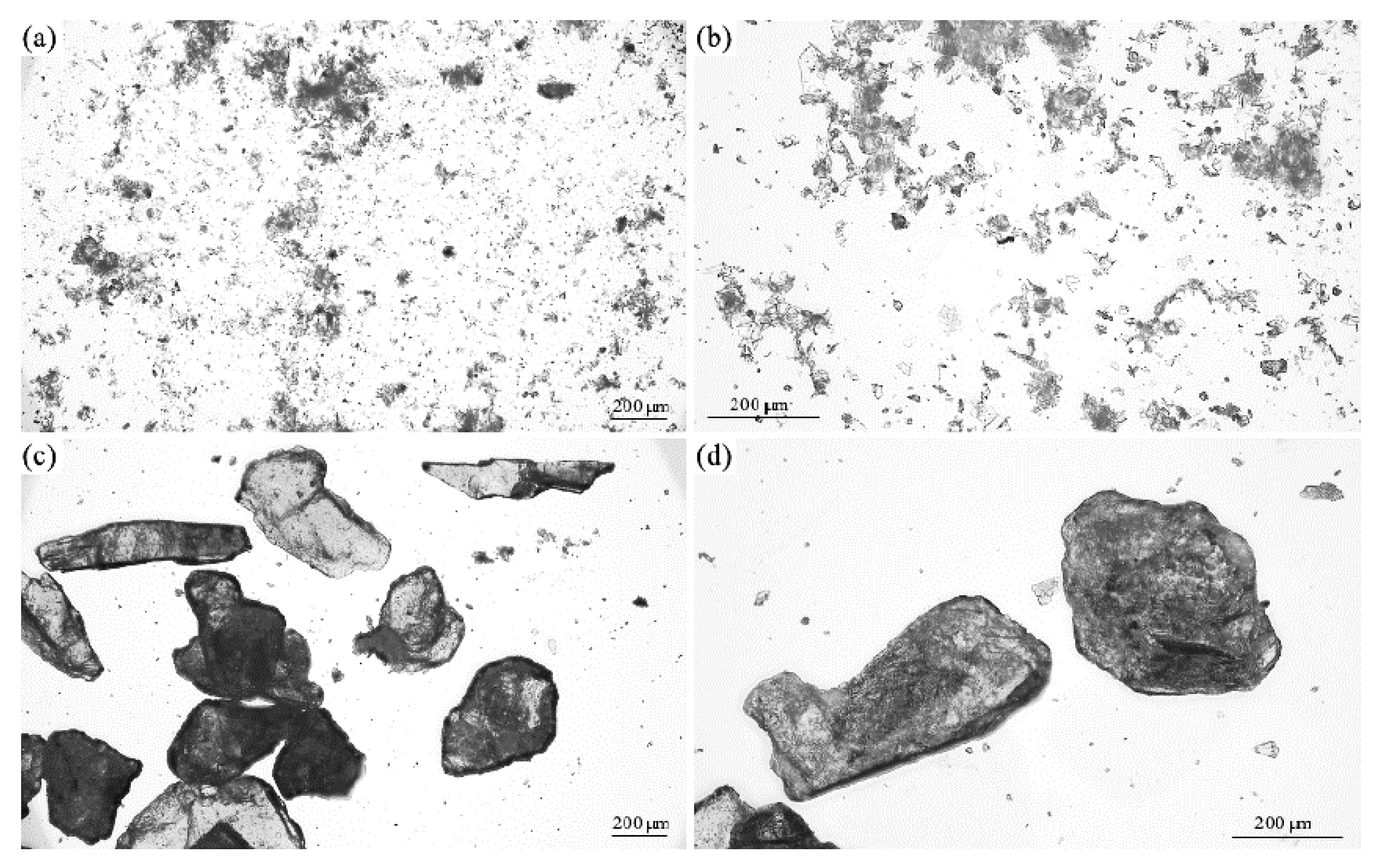 Materials 17 04629 g003 Materials 17 04629 g003