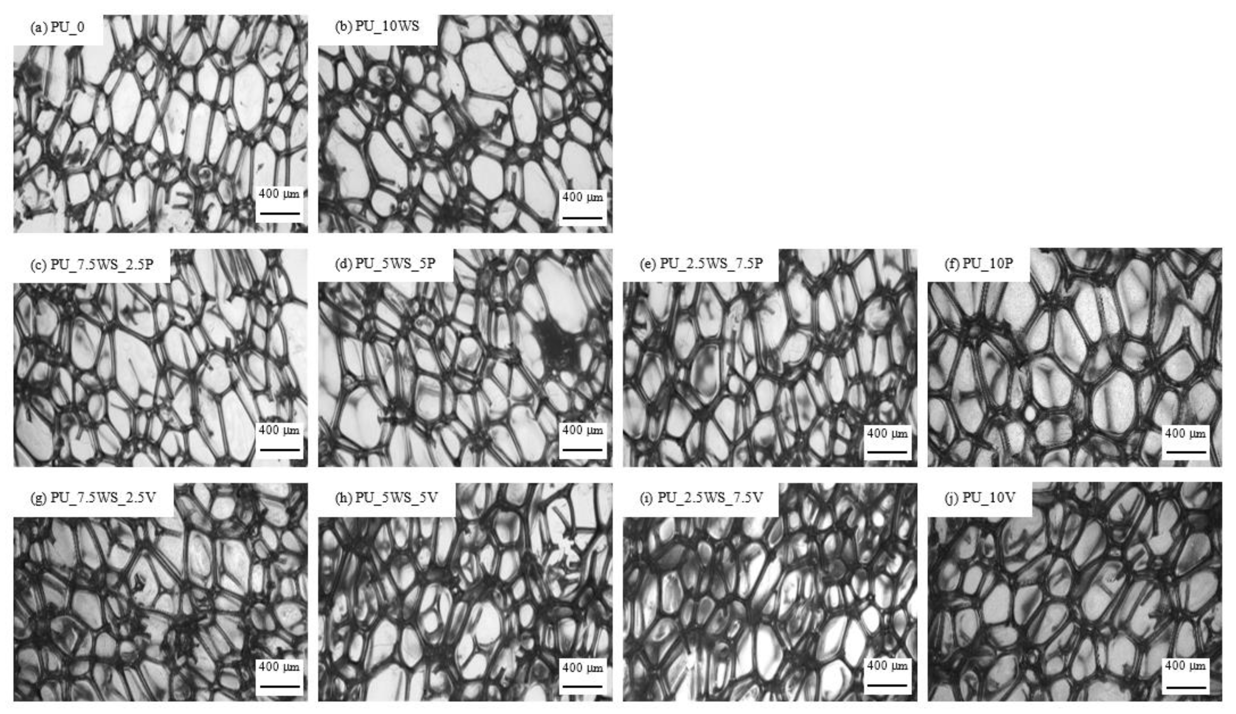 Materials 17 04629 g007 Materials 17 04629 g007