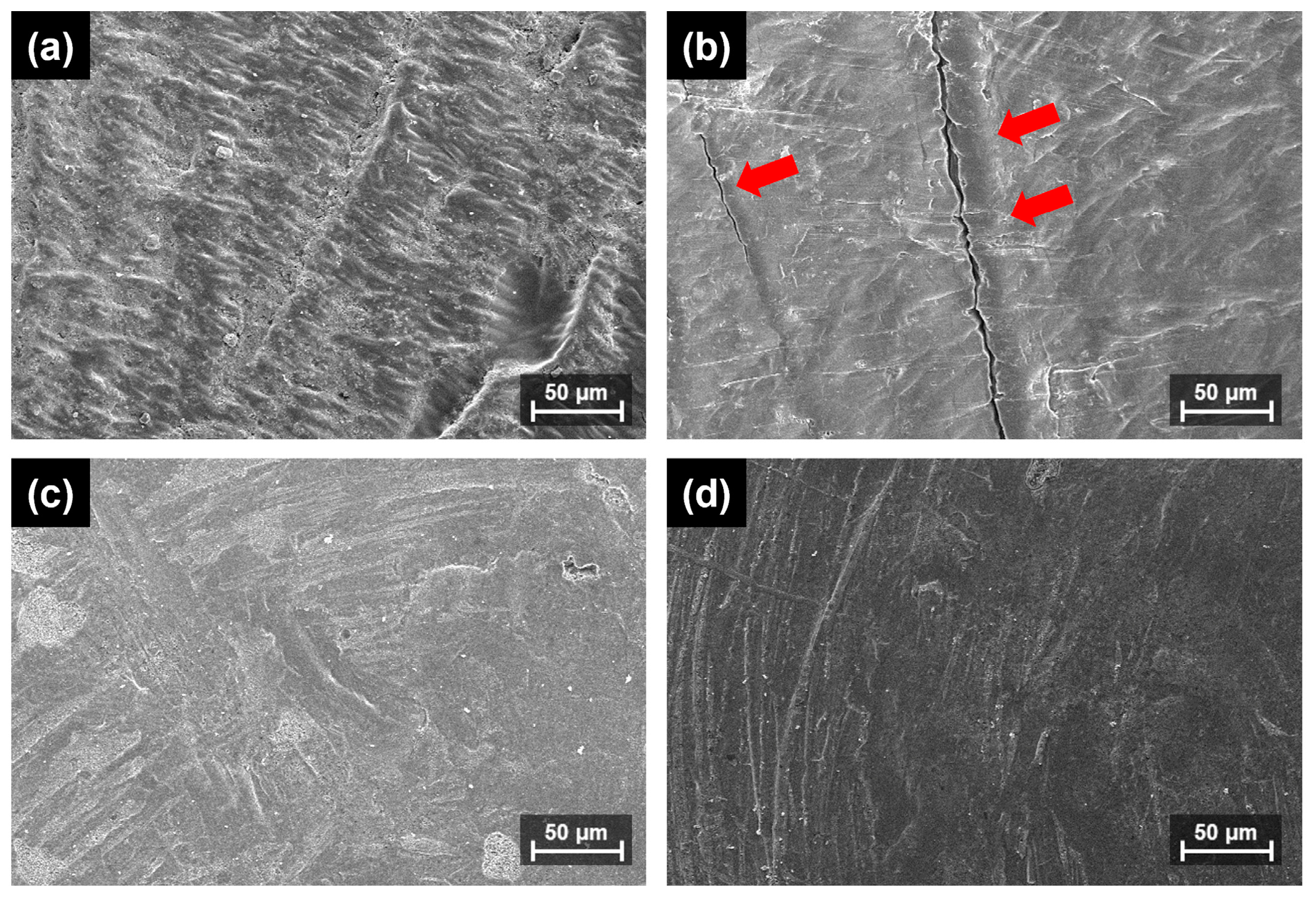 Materials 17 04645 g004