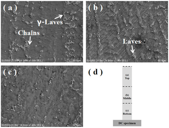Y u n 様 H&E to IHC virtual staining methods in breast cancer: an