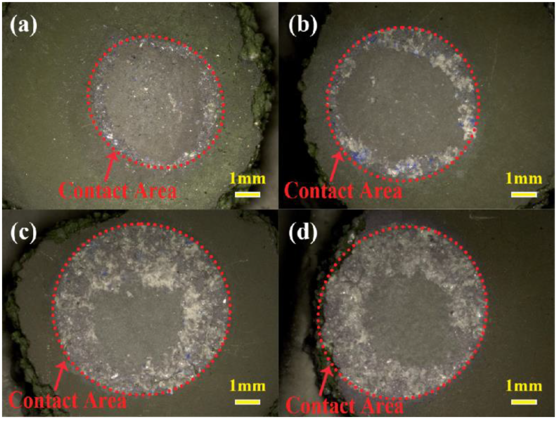 Materials 17 04674 g004