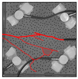 Materials 17 04684 i011