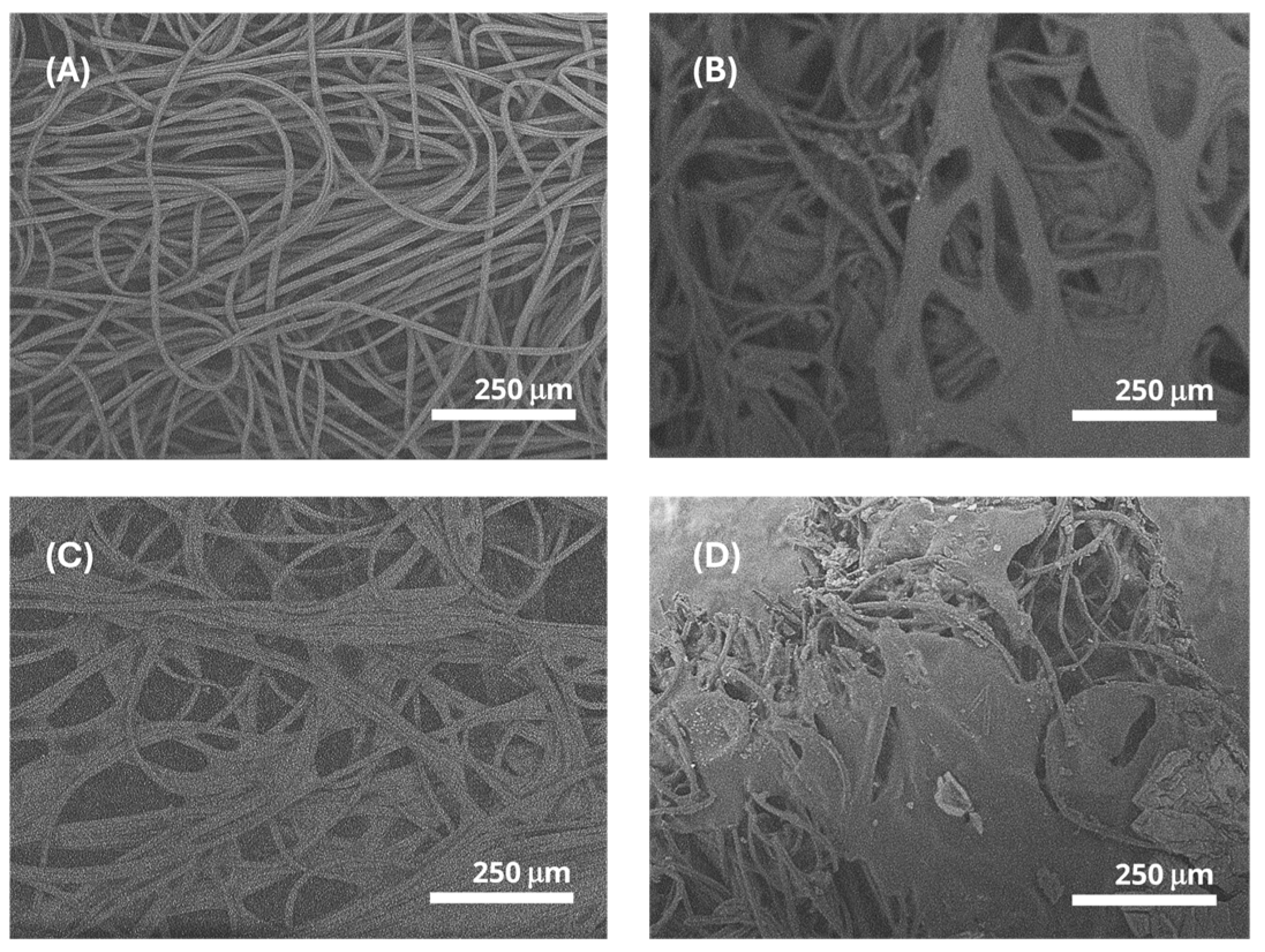 Materials 17 04705 g007