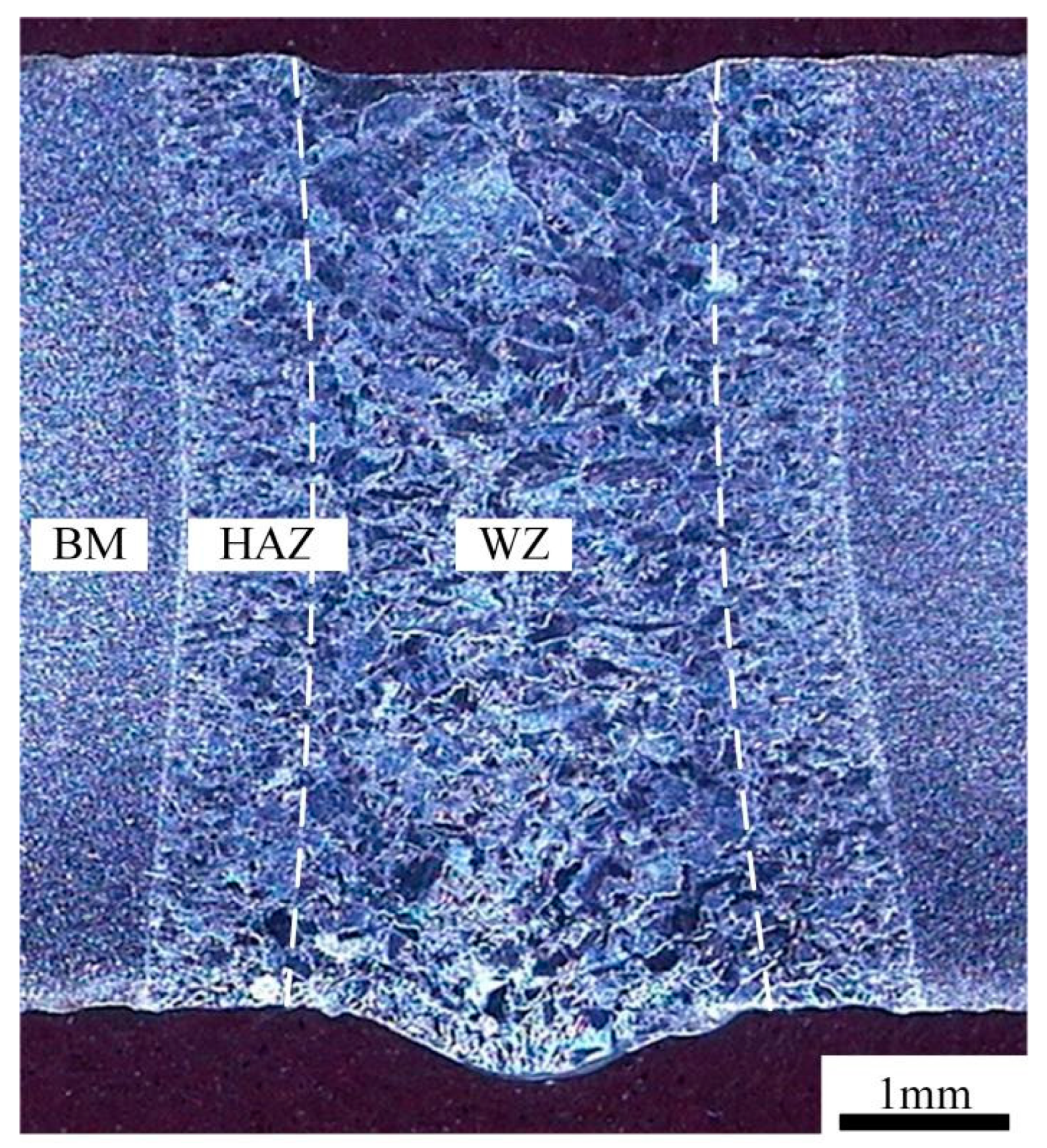 Materials 17 04722 g003