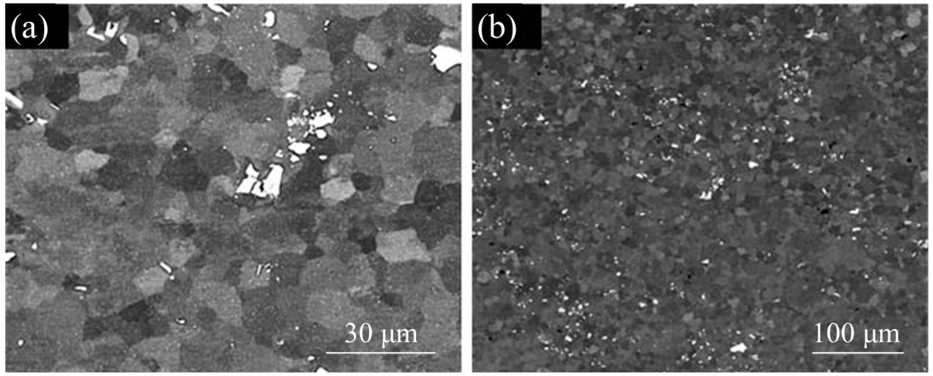 Materials 17 04738 g006