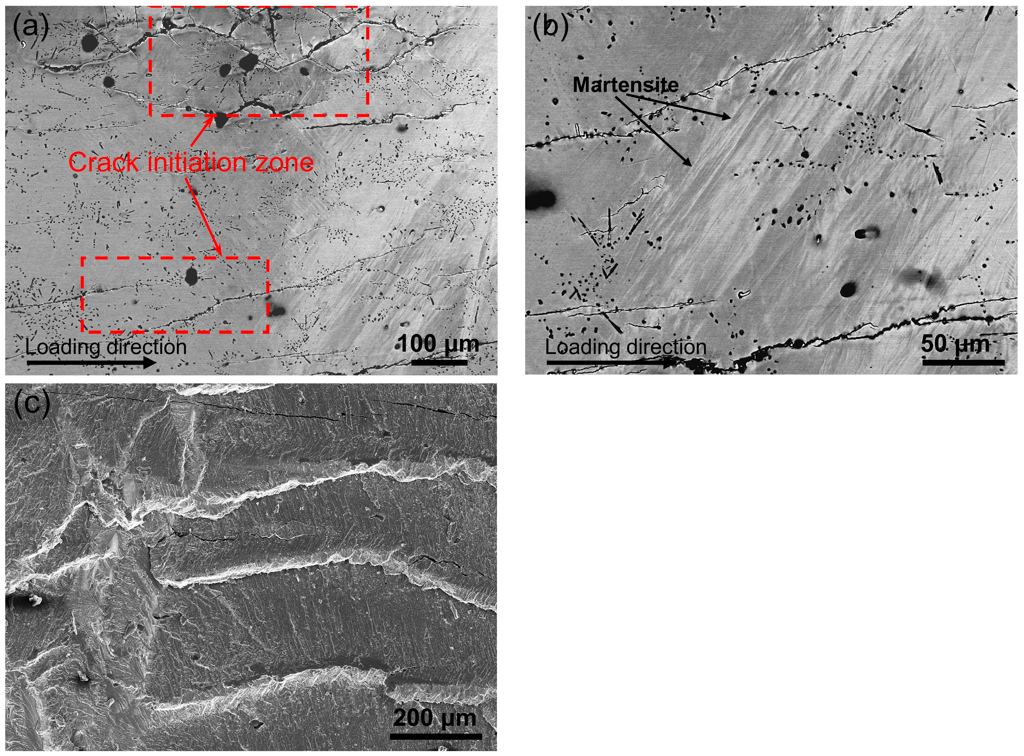 Materials 17 04756 g009