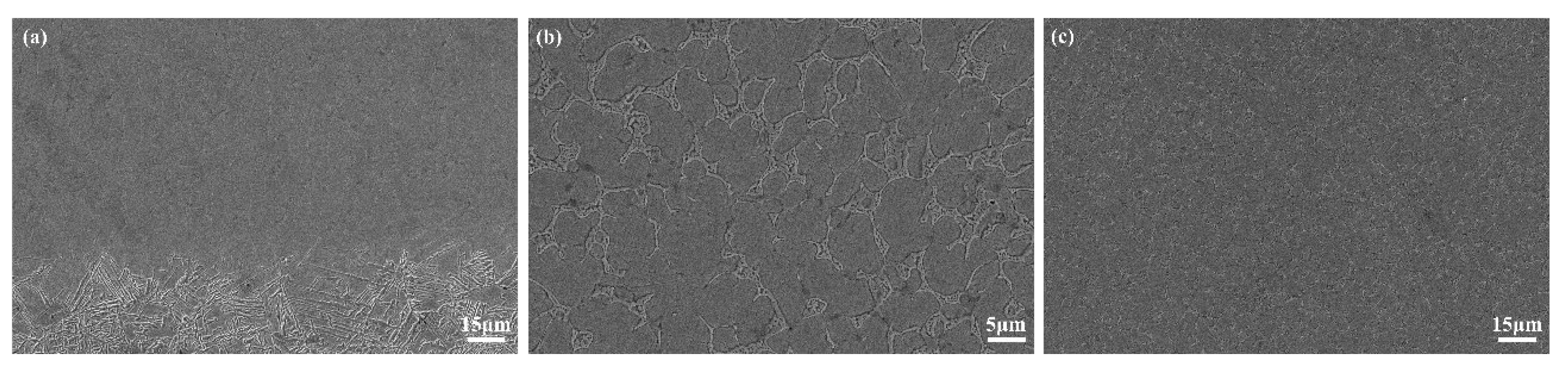 Materials 17 04758 g004 Materials 17 04758 g004