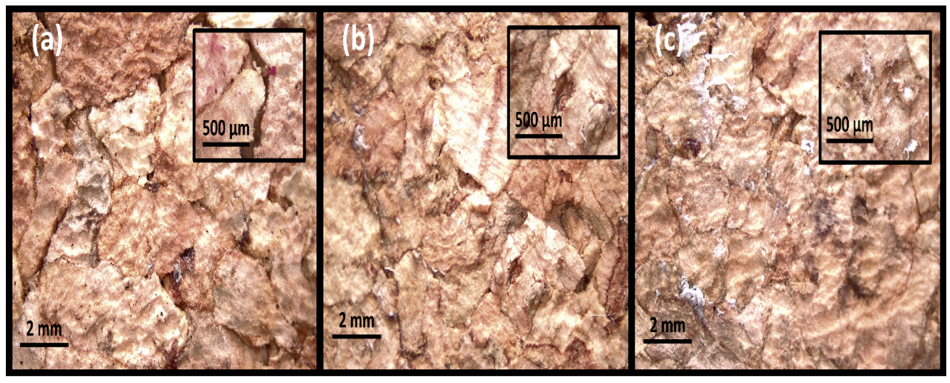 Materials 17 04772 g005