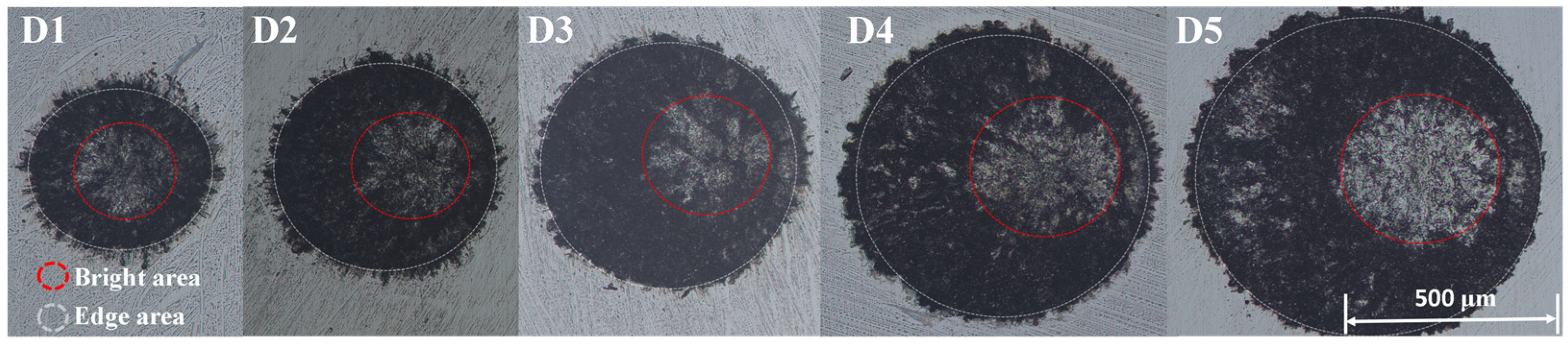 Materials 17 04776 g005