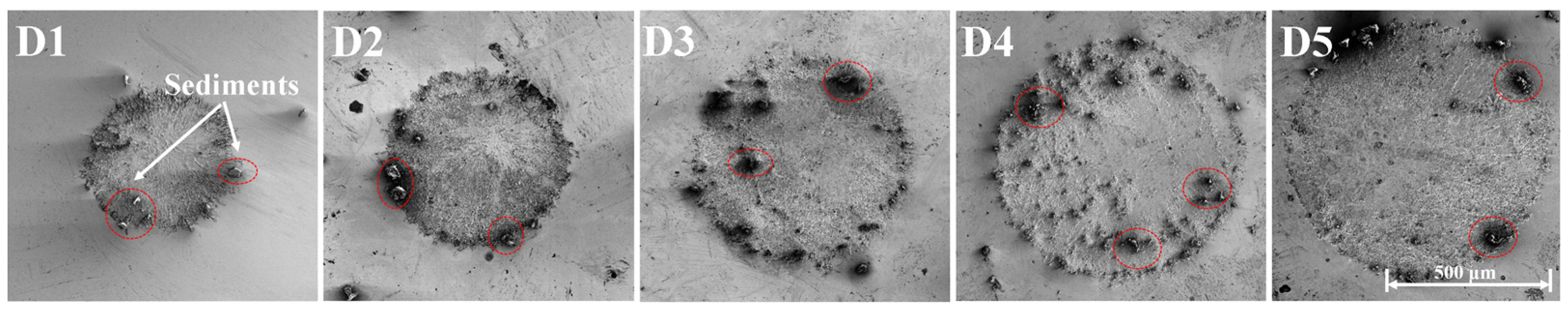 Materials 17 04776 g007