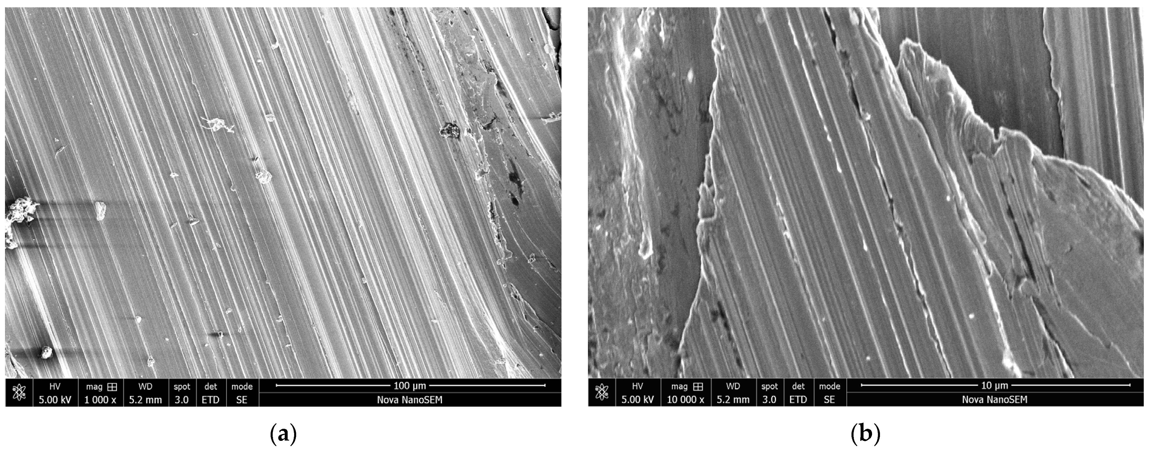 Materials 17 04783 g012