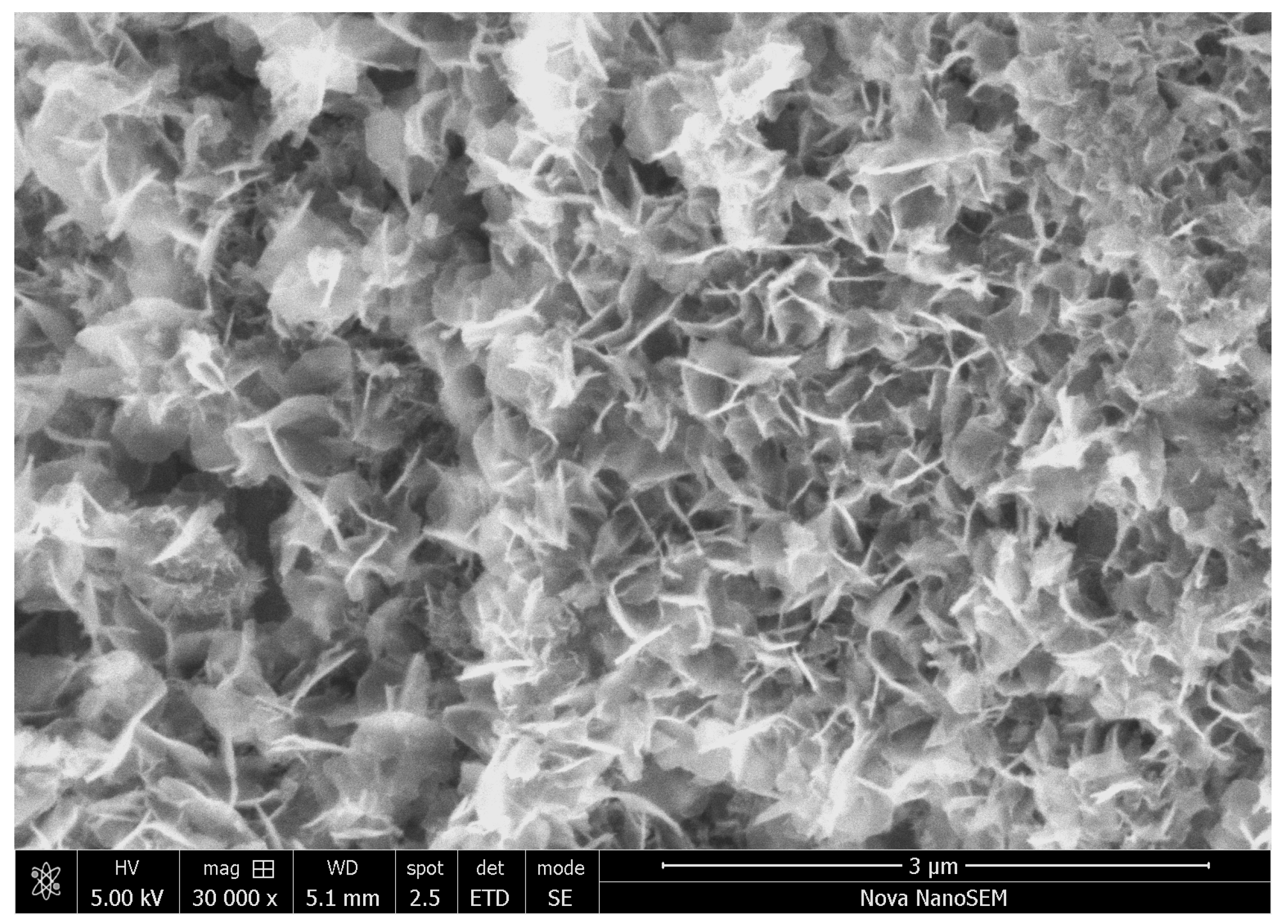 Materials 17 04783 g014