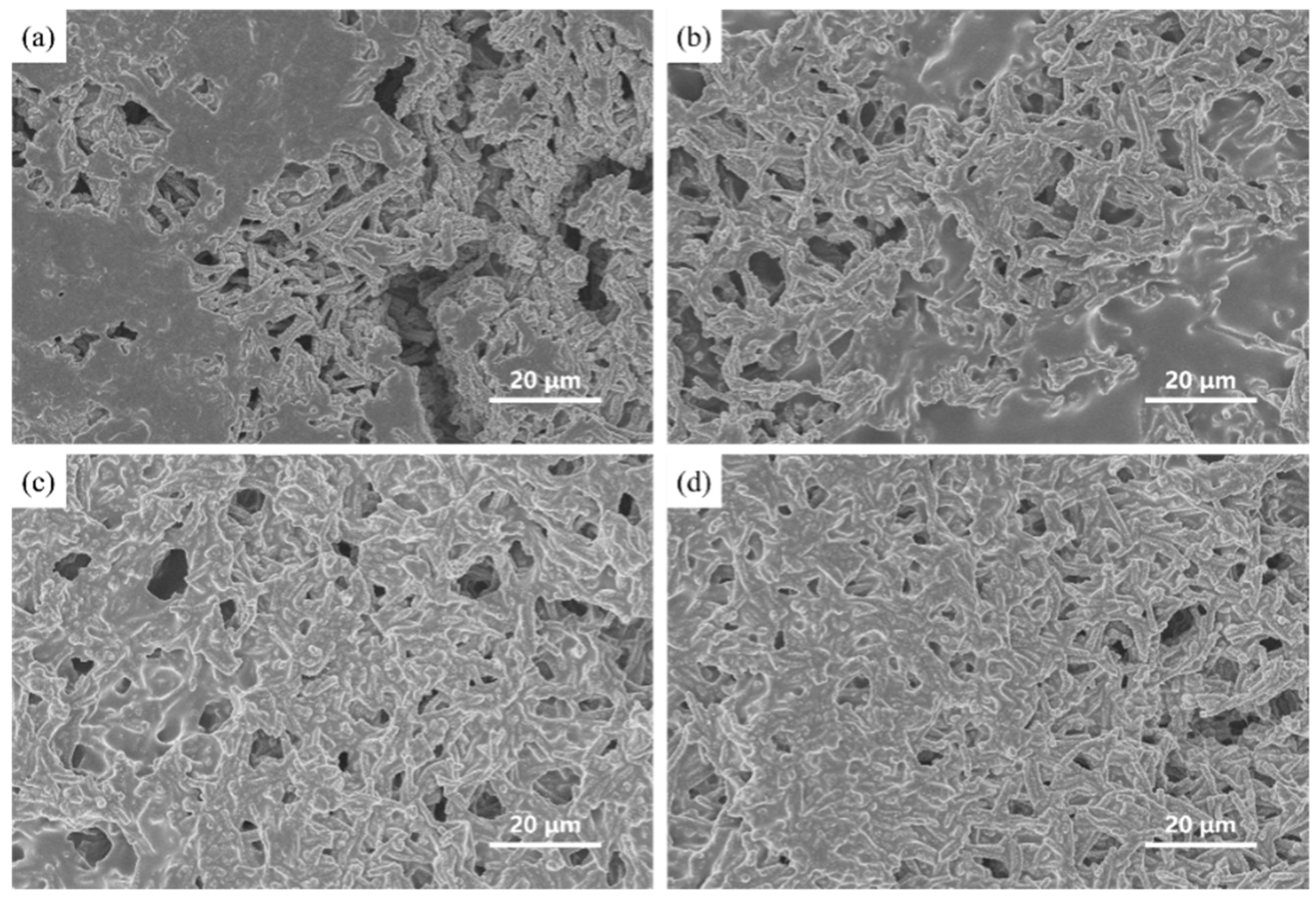 Materials 17 04788 g007