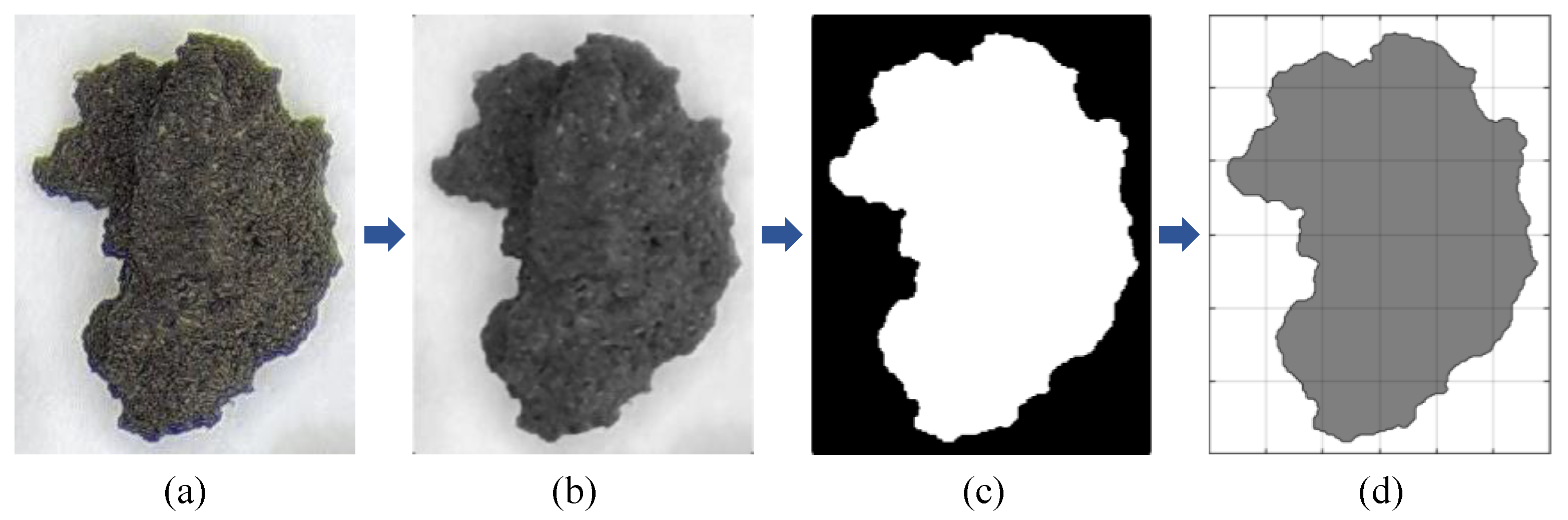 Materials 17 04789 g005