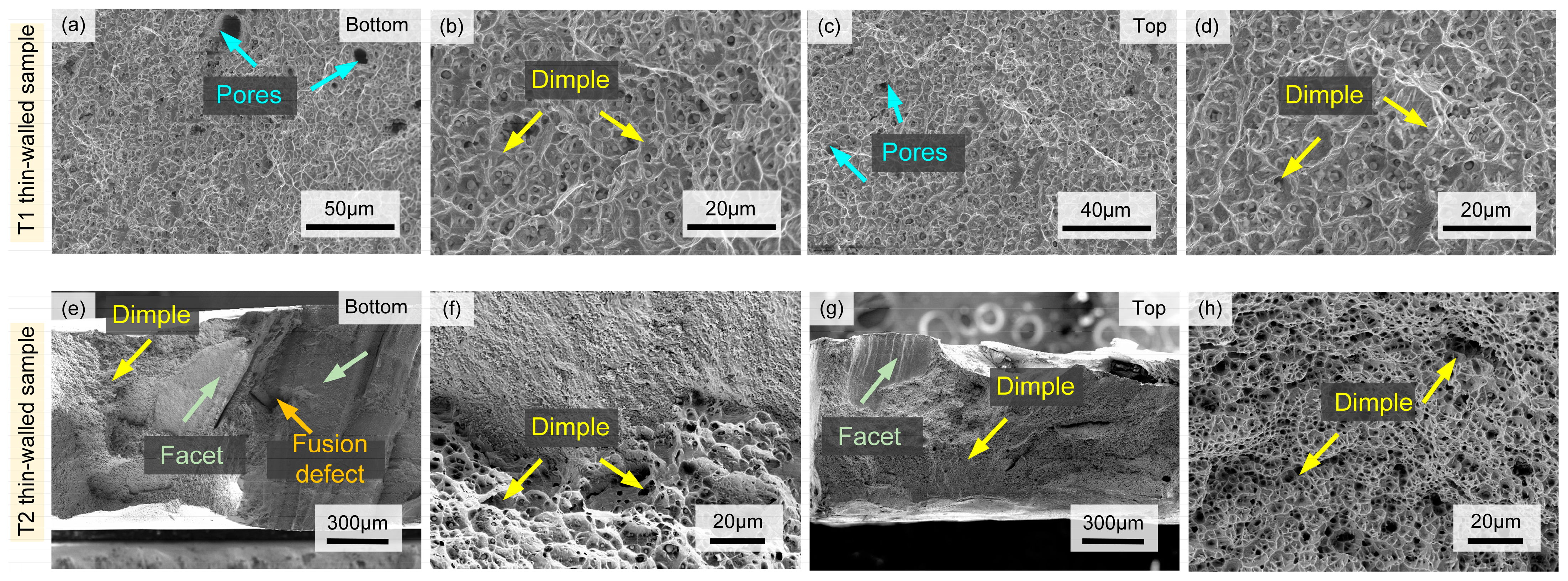Materials 17 04795 g008