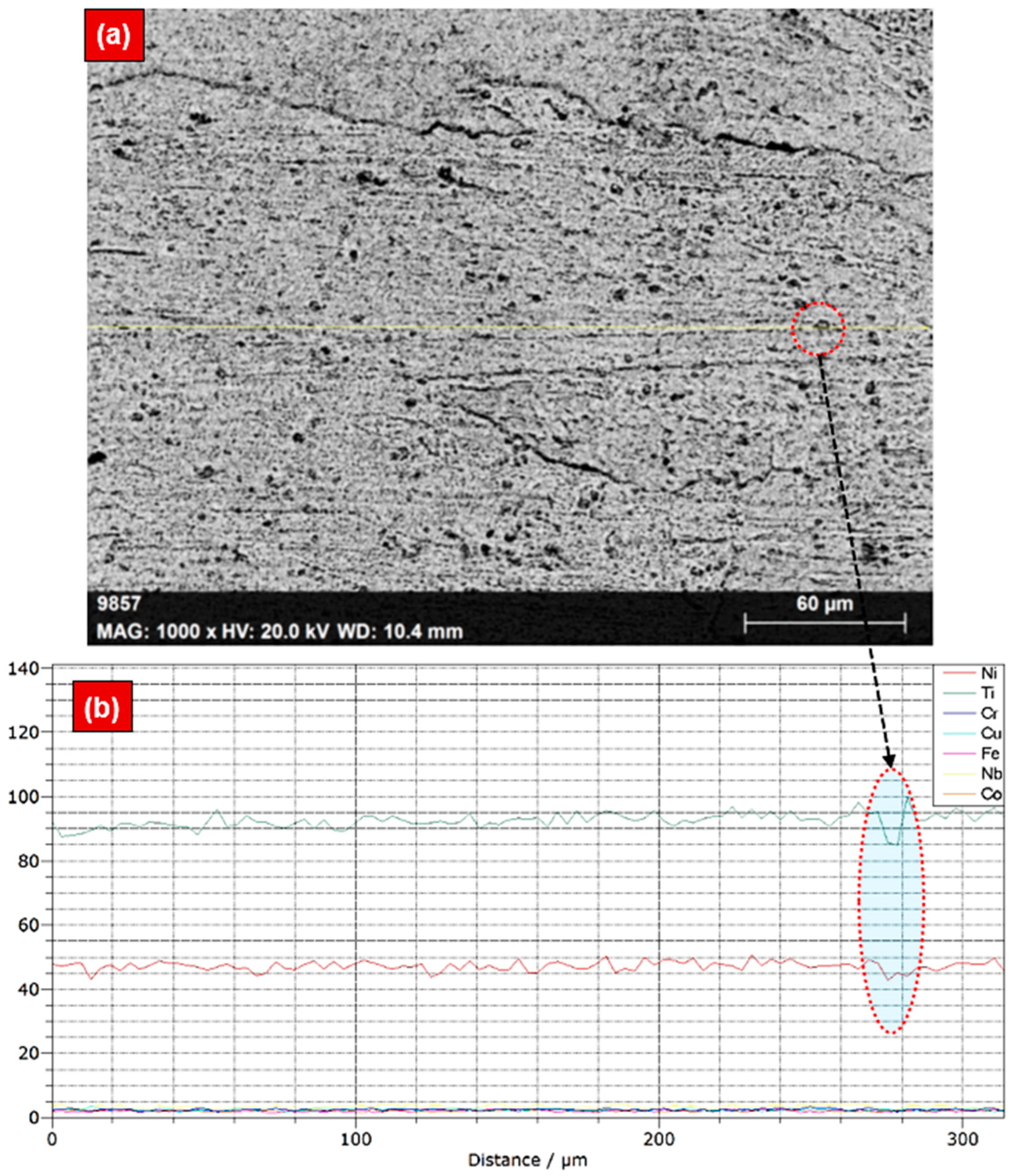 Materials 17 04801 g004