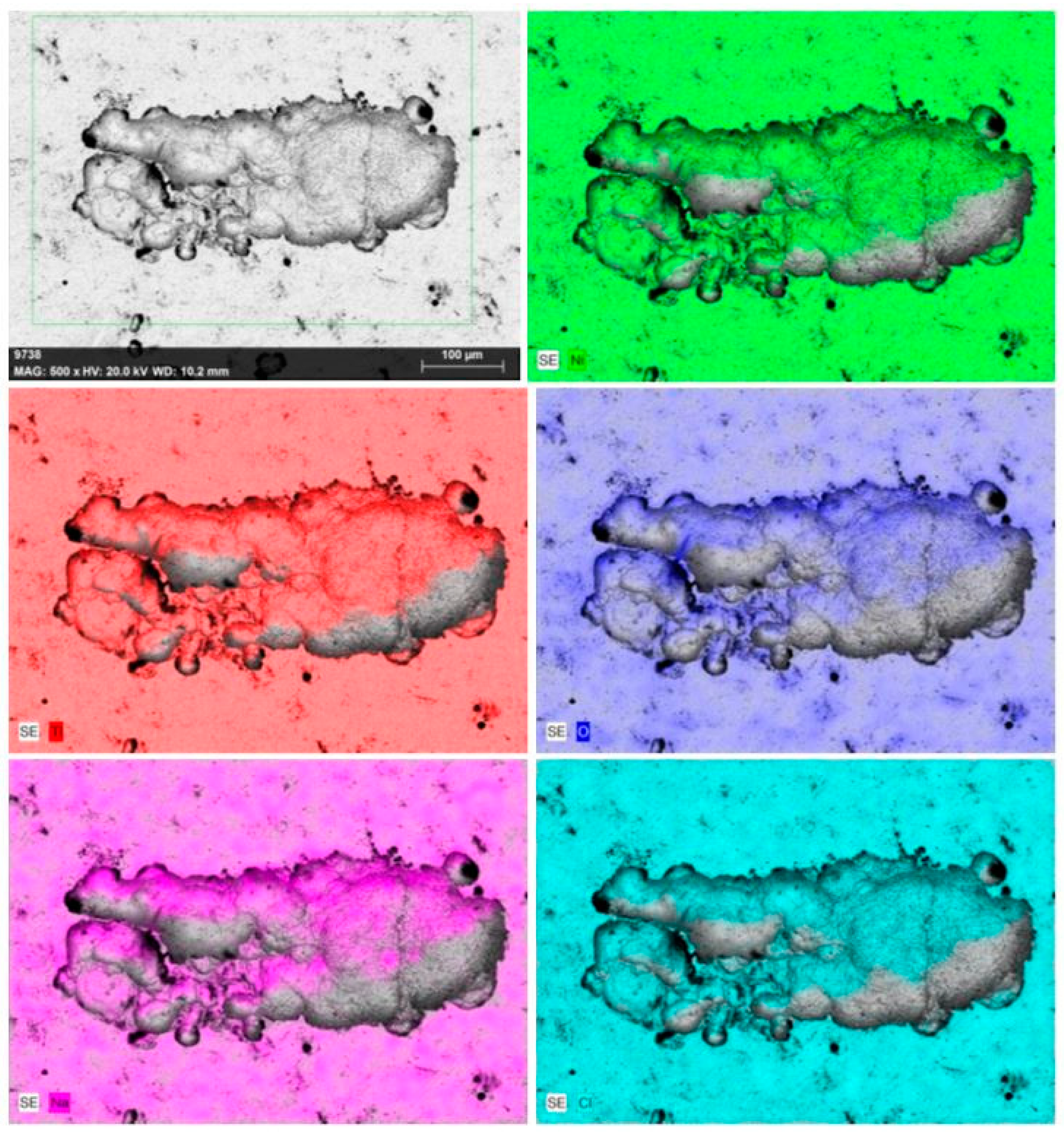 Materials 17 04801 g013