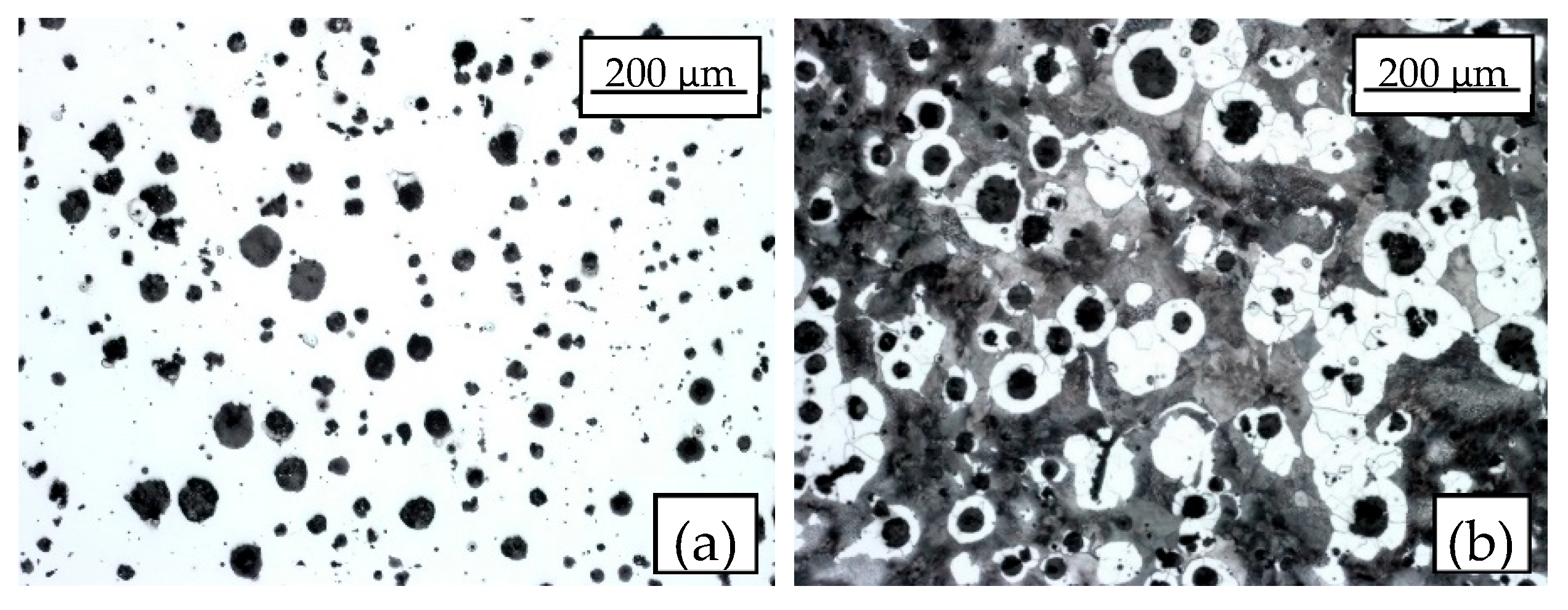 Materials 17 04807 g004