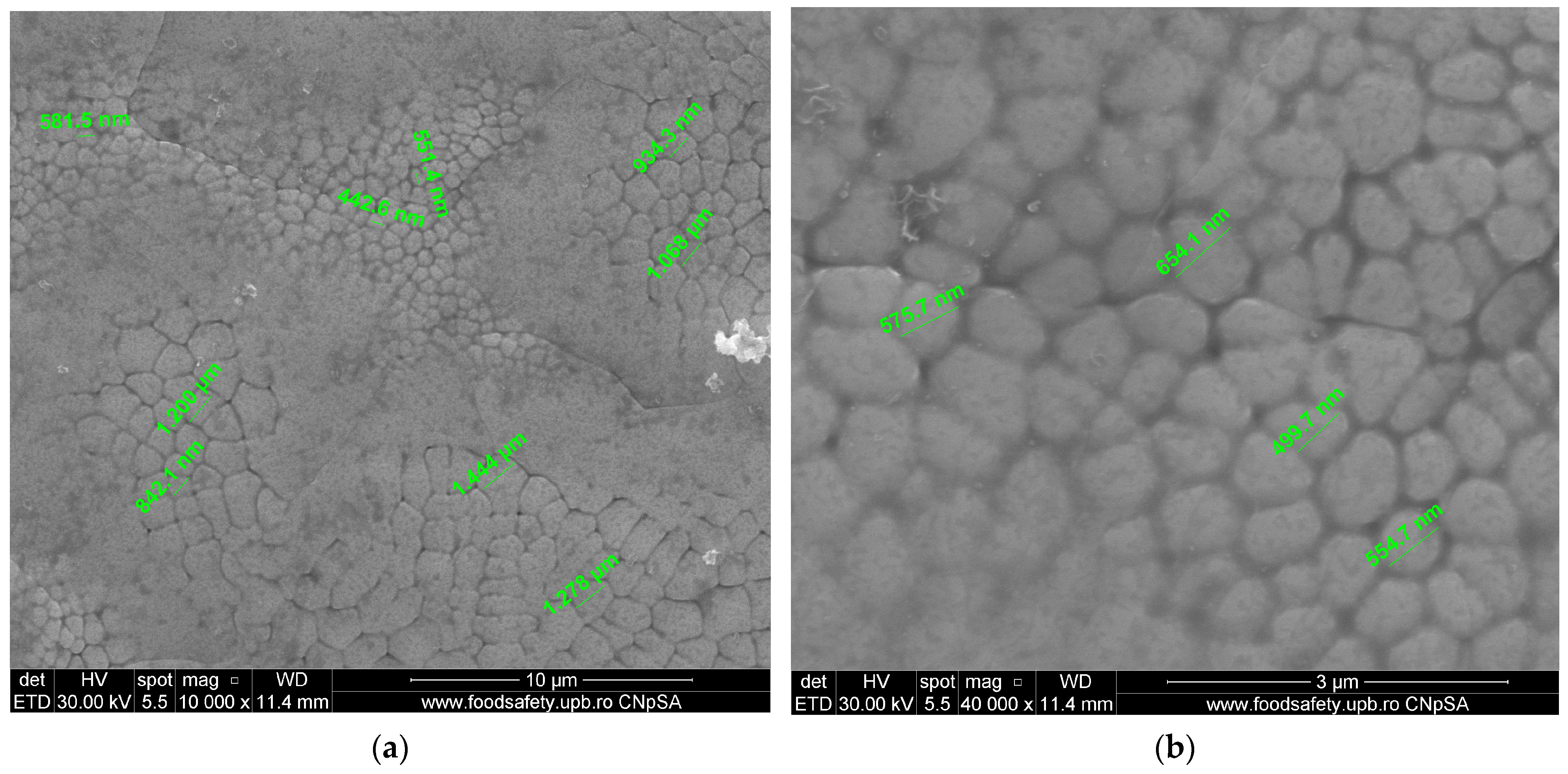 Materials 17 04808 g005