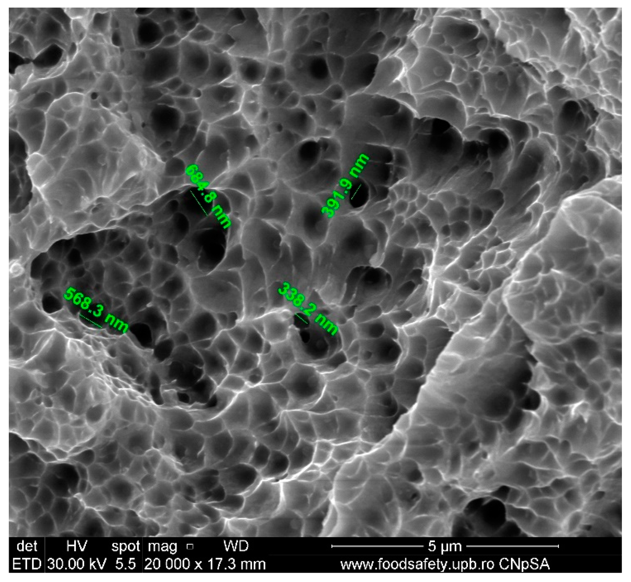 Materials 17 04808 g010