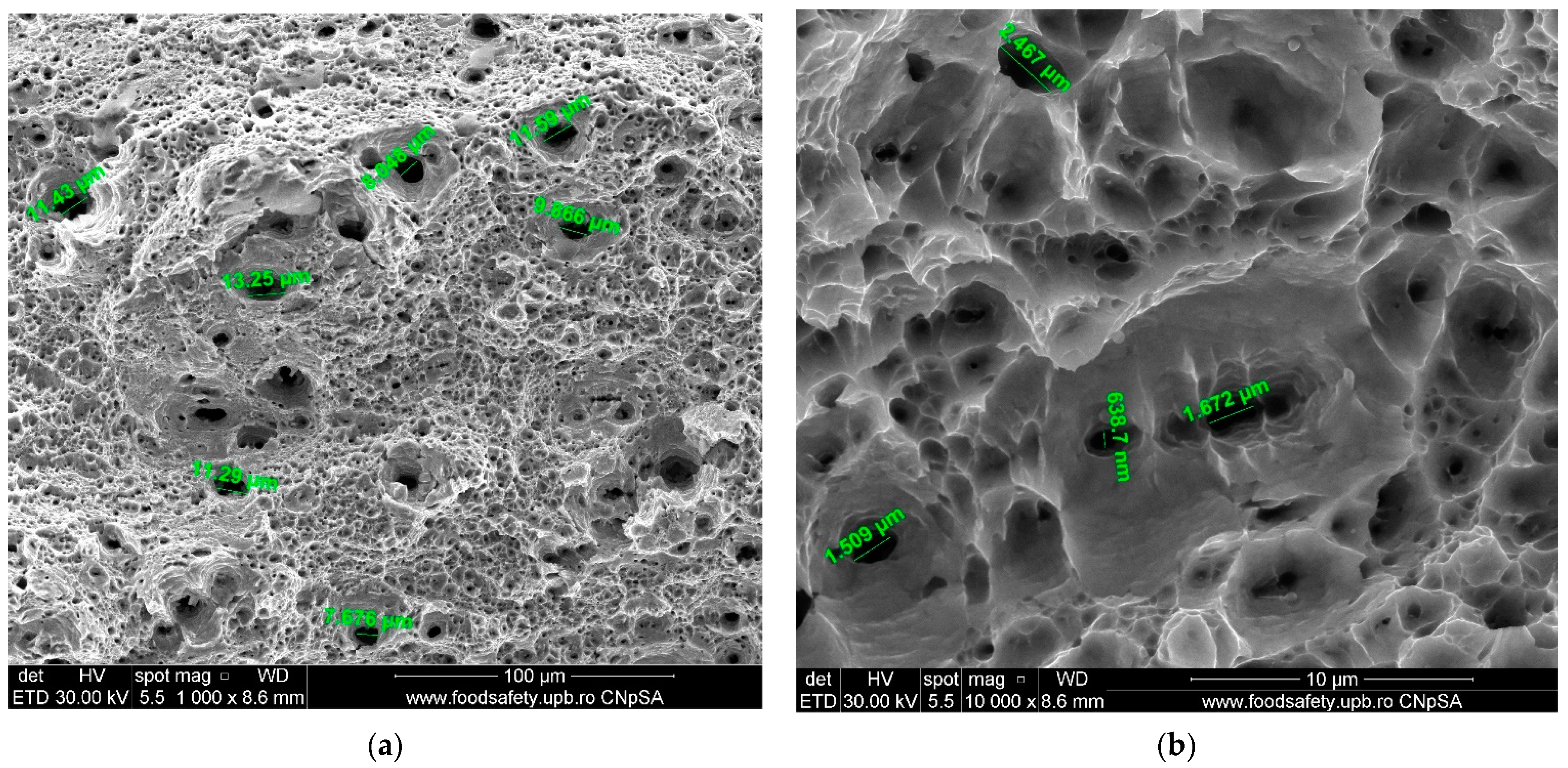 Materials 17 04808 g016