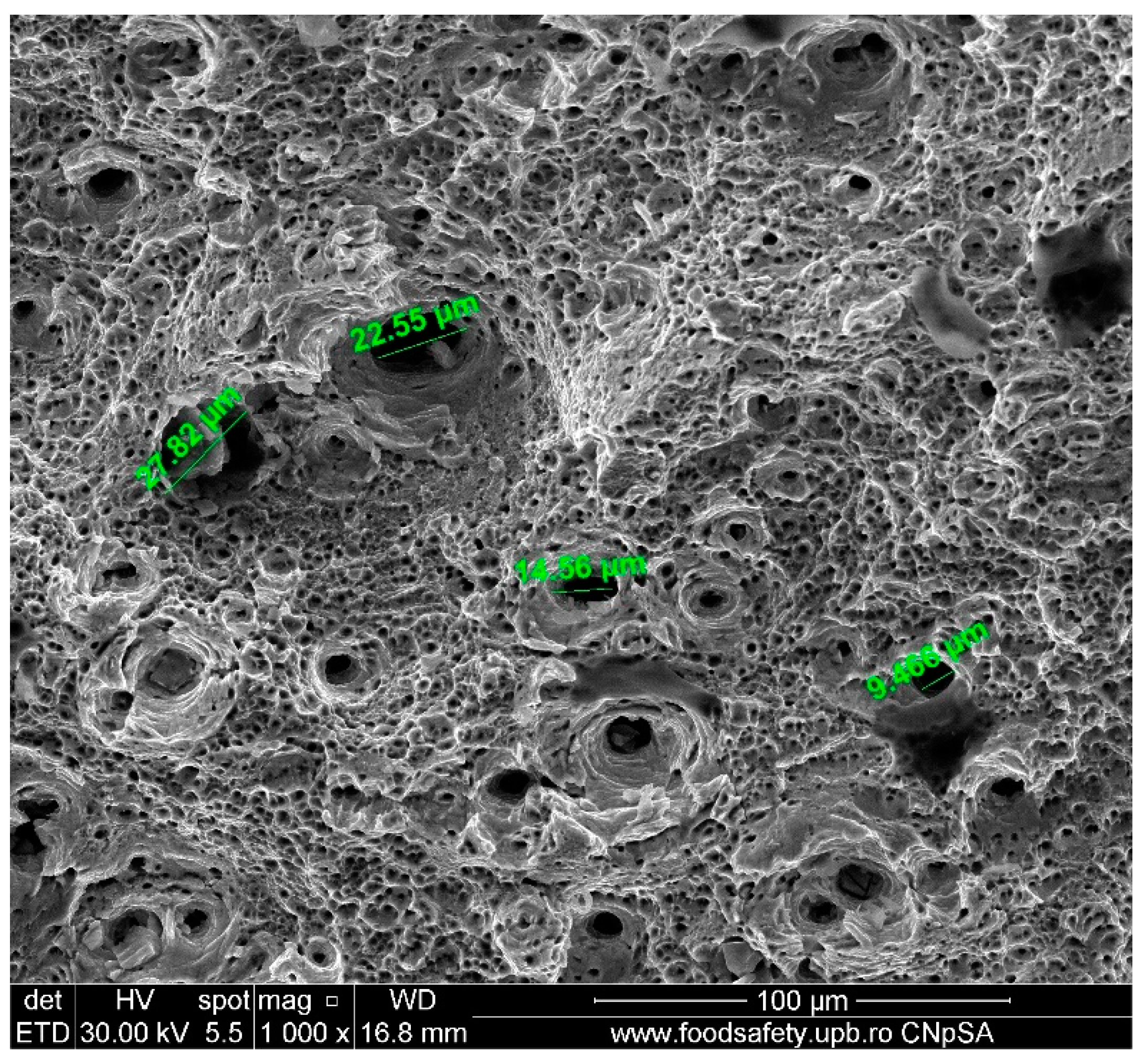 Materials 17 04808 g017