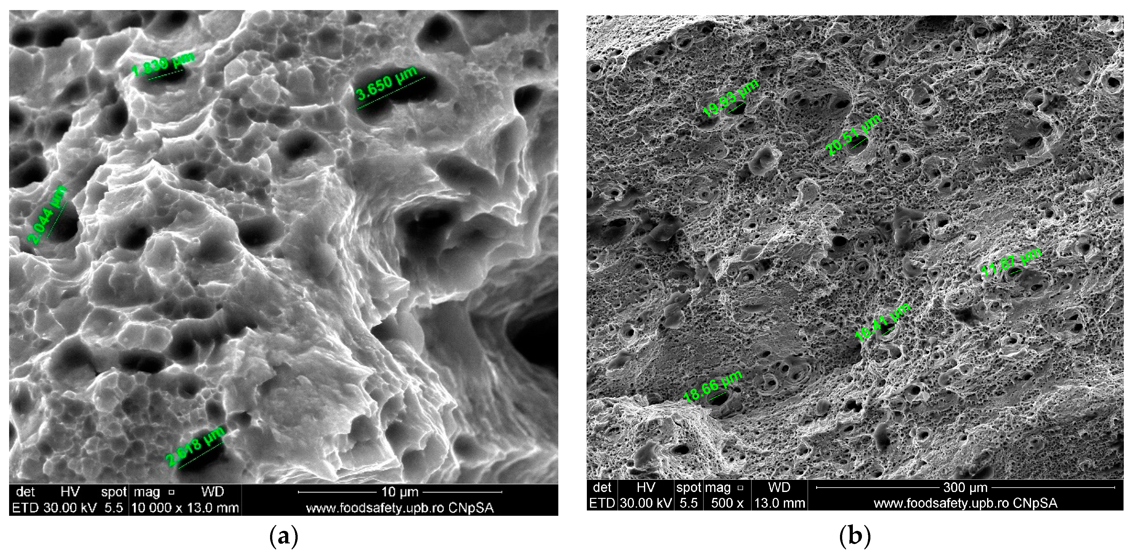 Materials 17 04808 g018