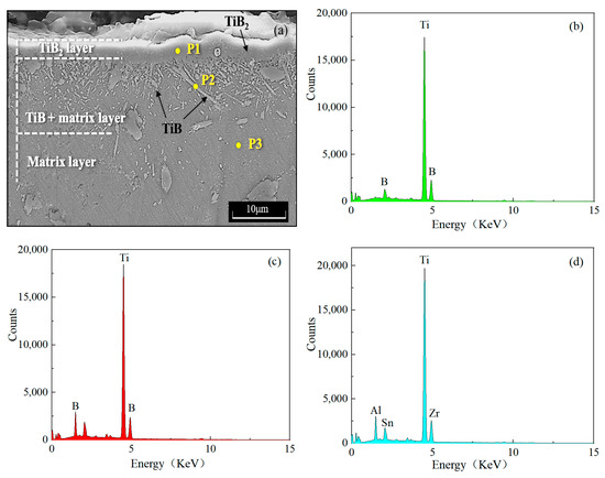 Characterization and Growth Kinetics of Borides Layers on Near