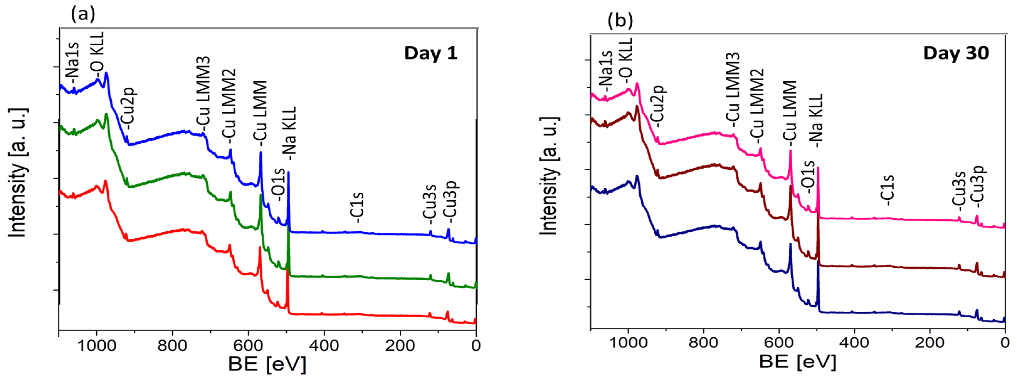 Materials 17 04823 g006