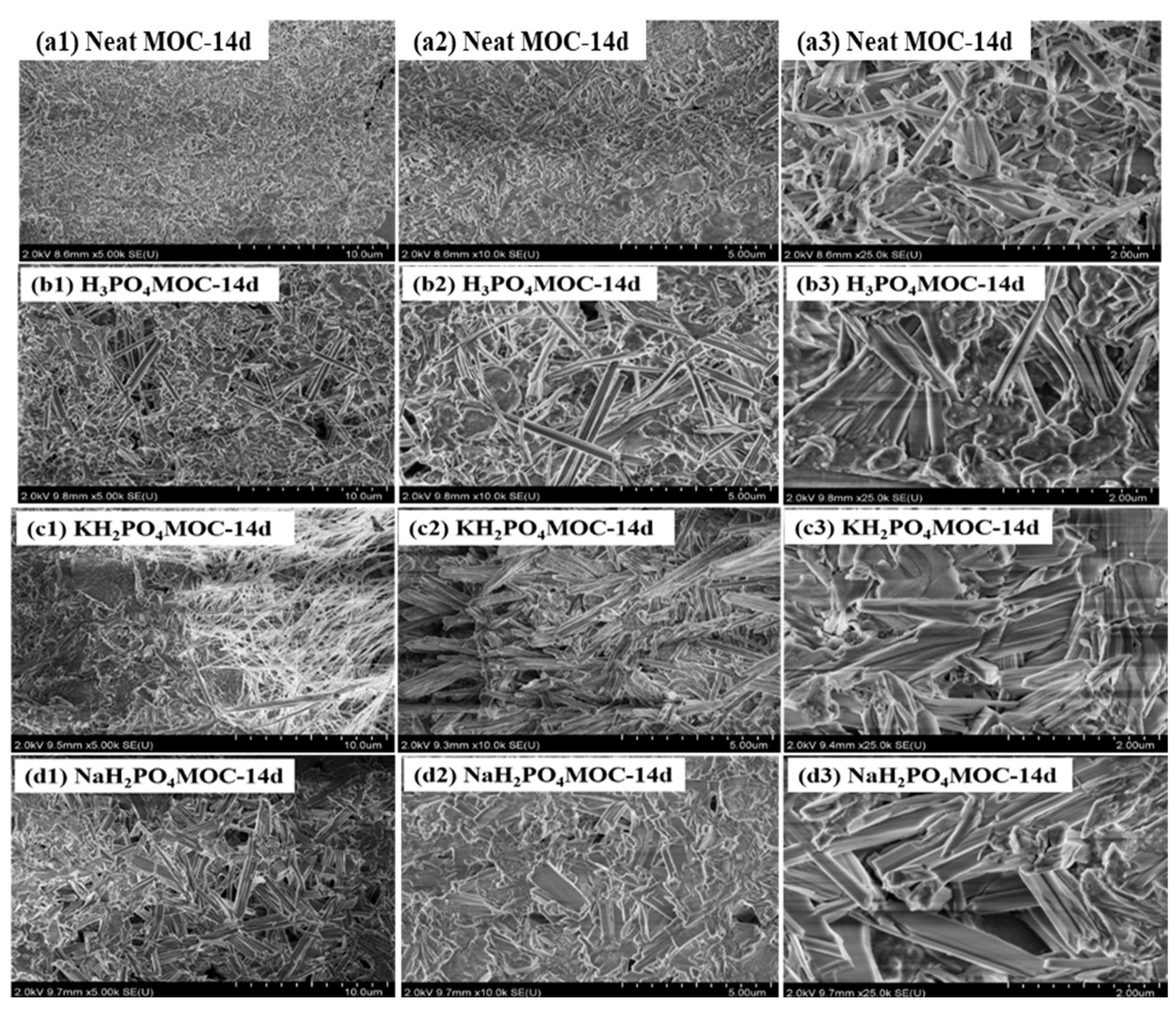 Materials 17 04828 g005