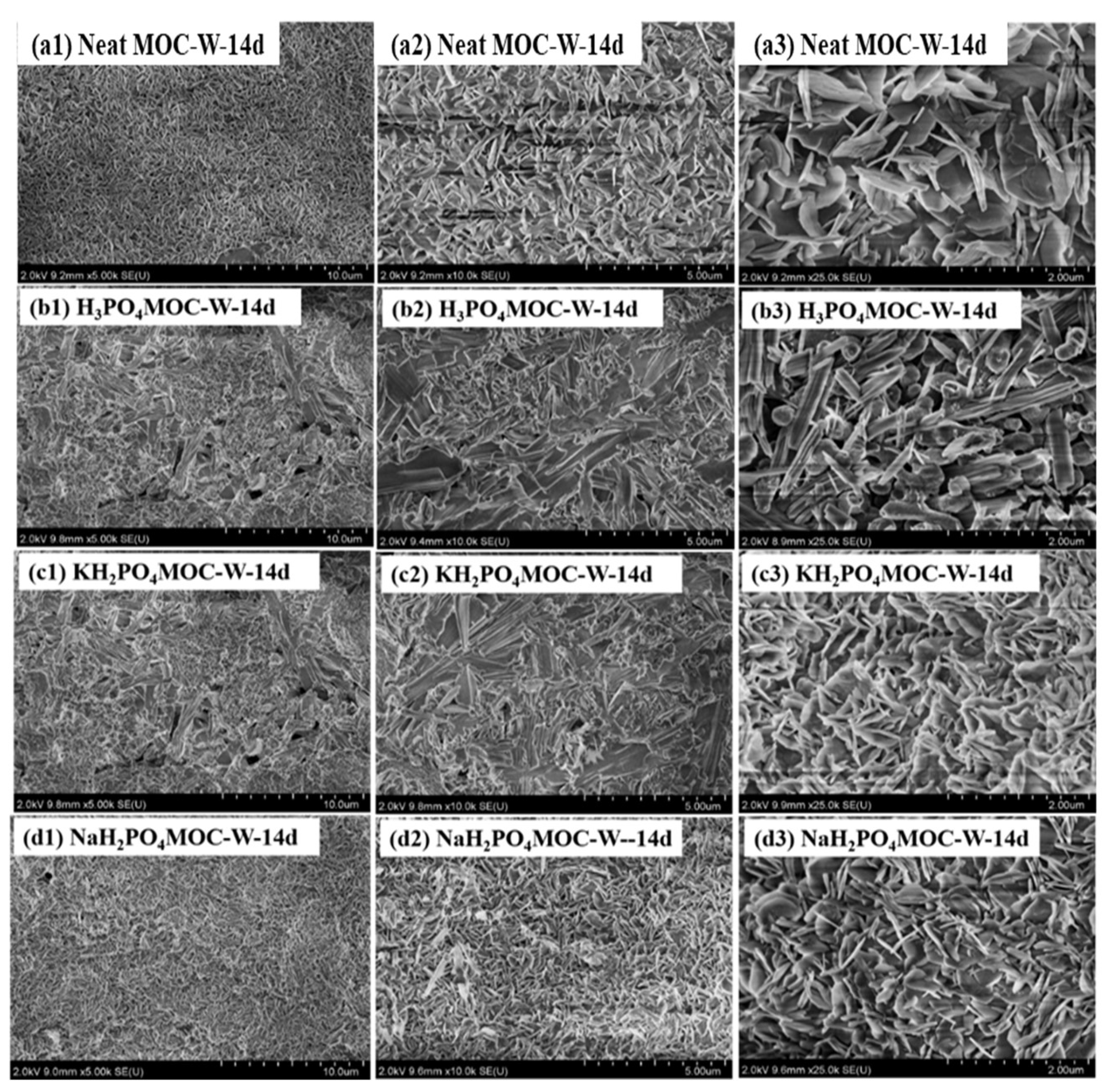 Materials 17 04828 g006