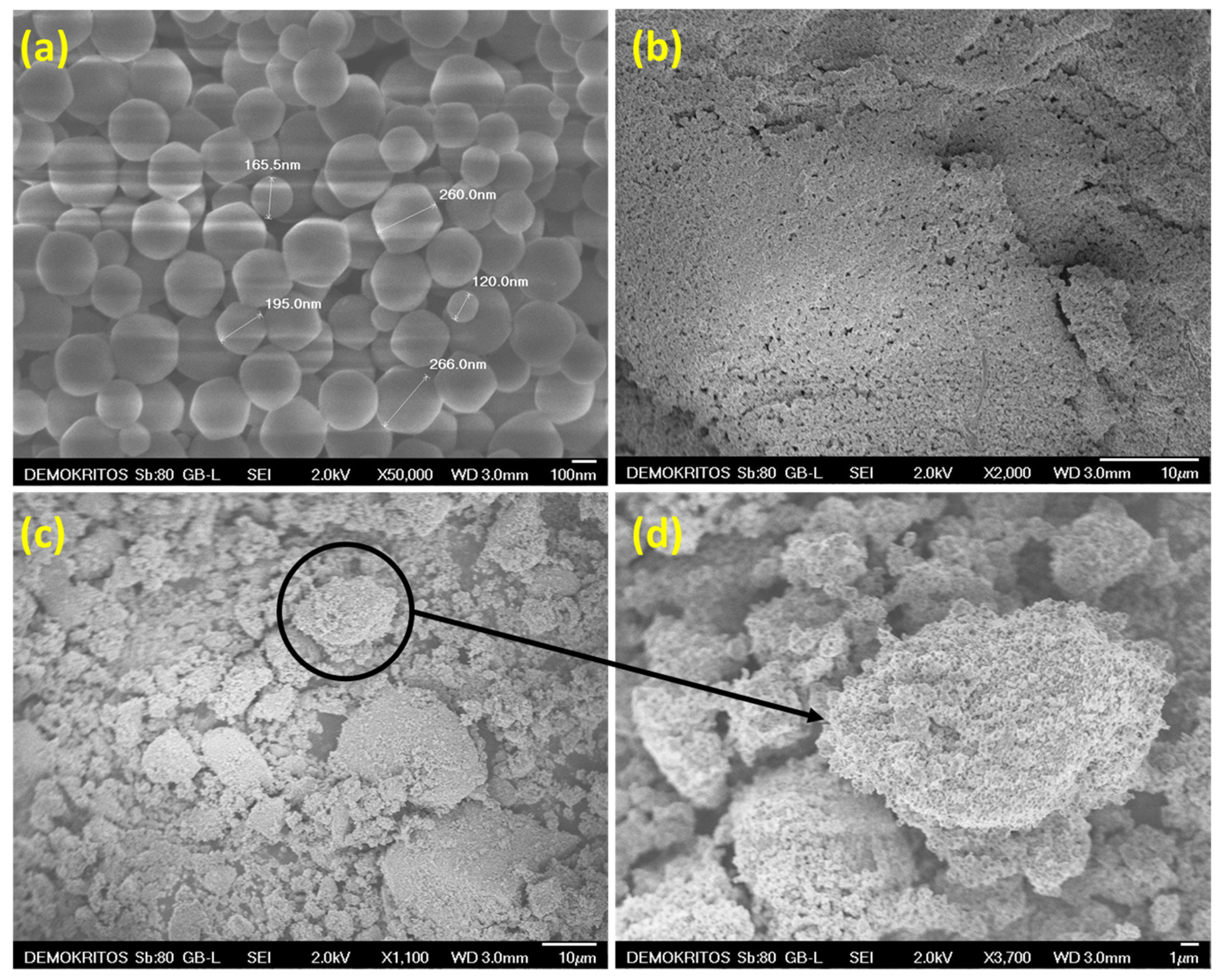 Materials 17 04829 g001