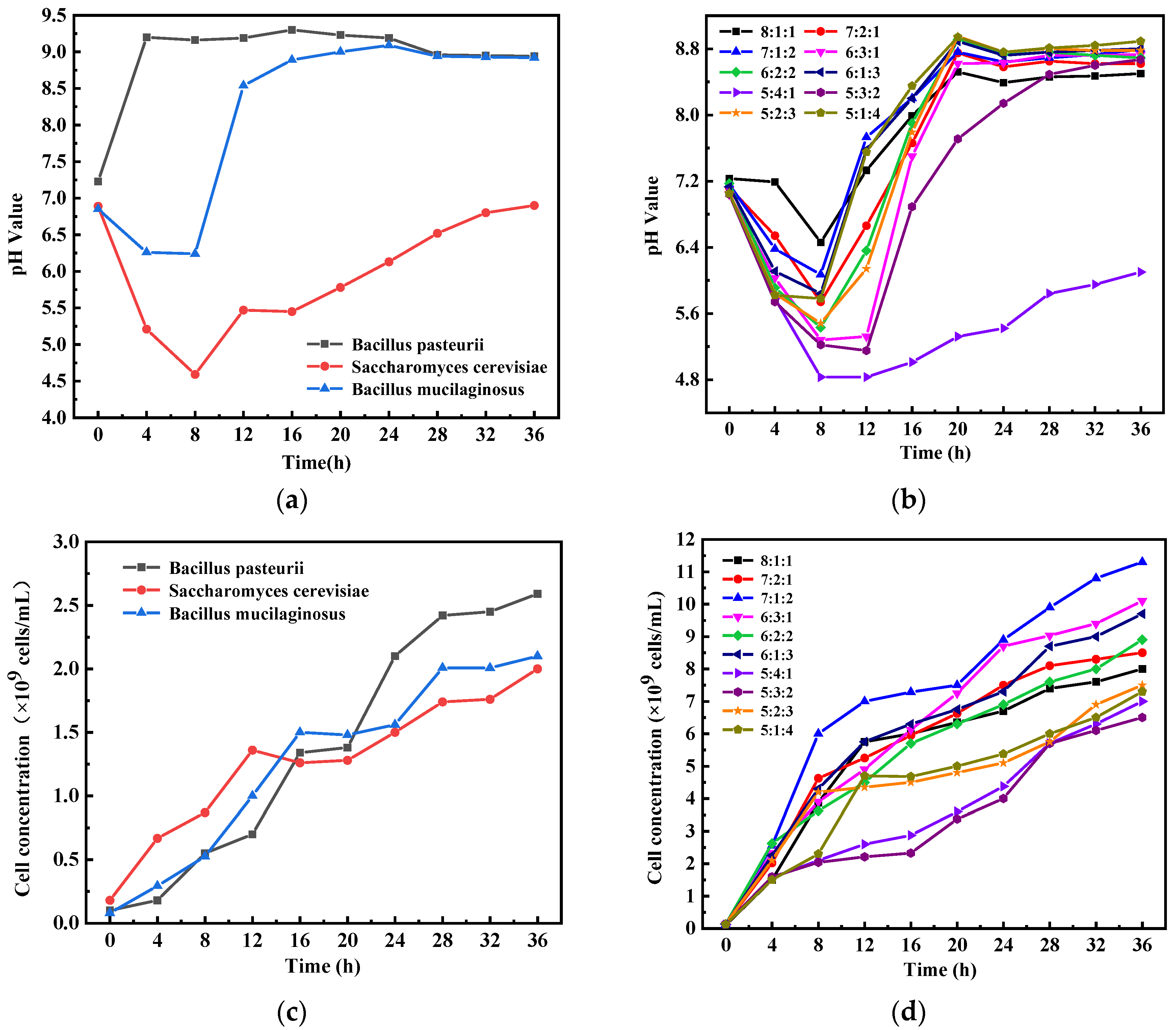 Materials 17 04834 g002
