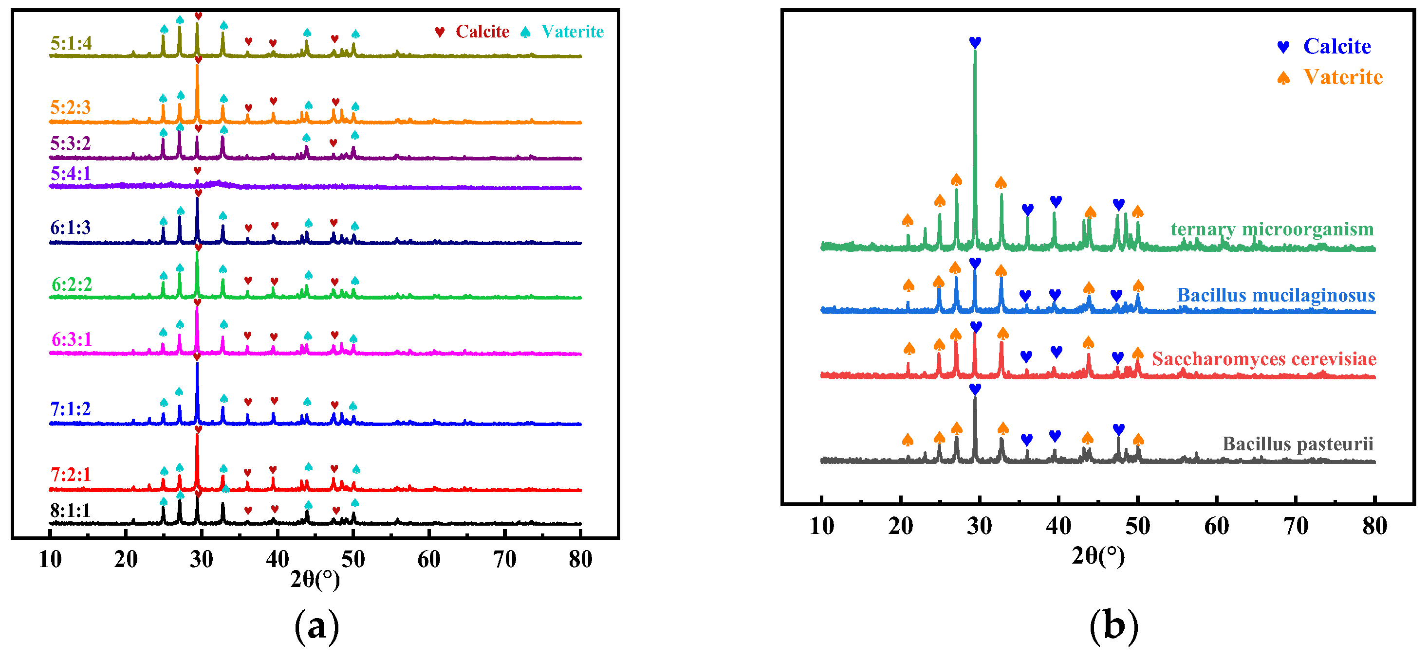 Materials 17 04834 g004