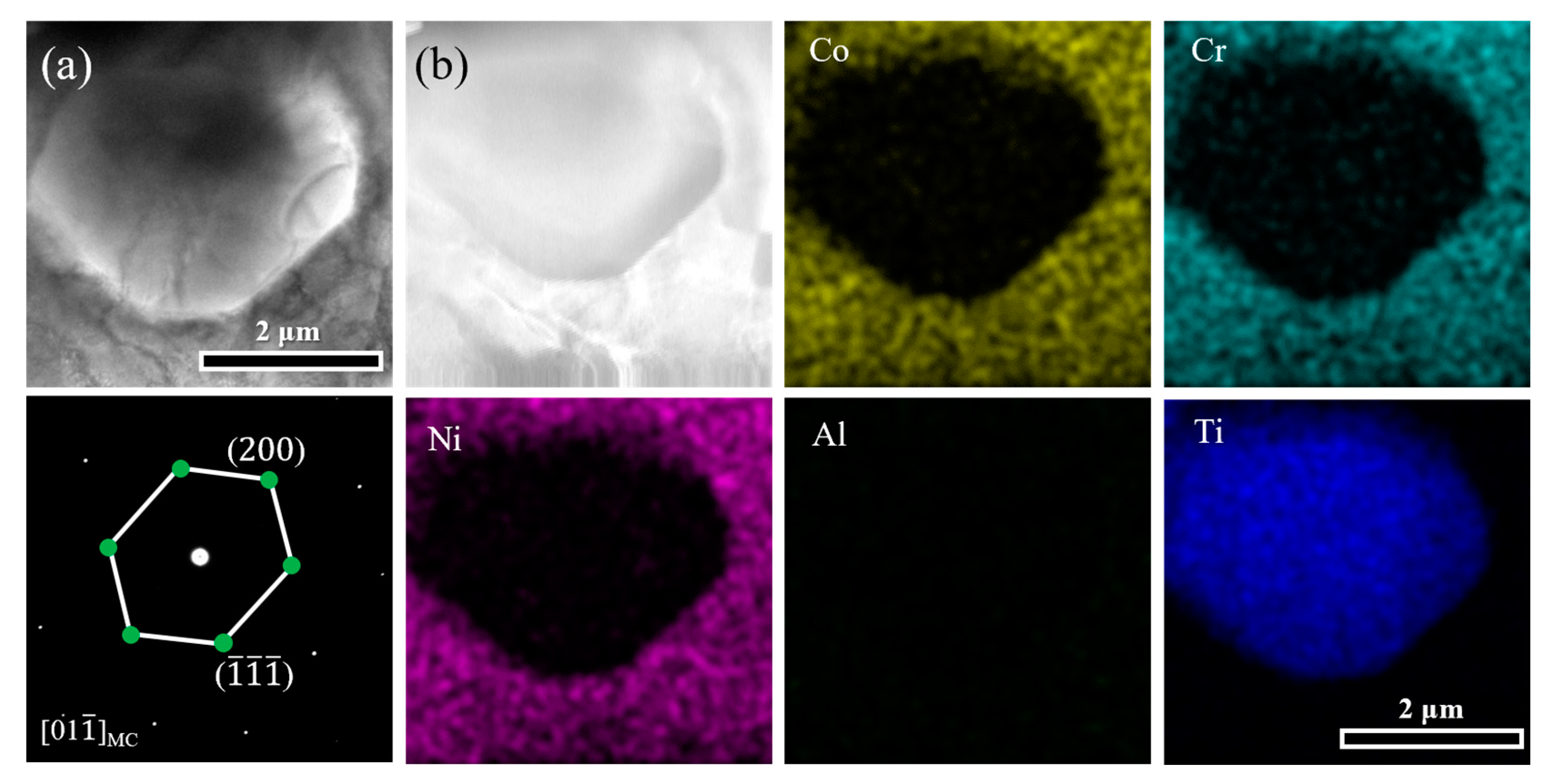 Materials 17 04835 g003