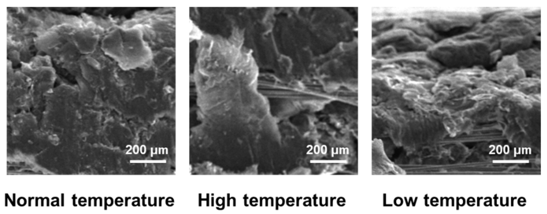 Materials 17 04838 g005