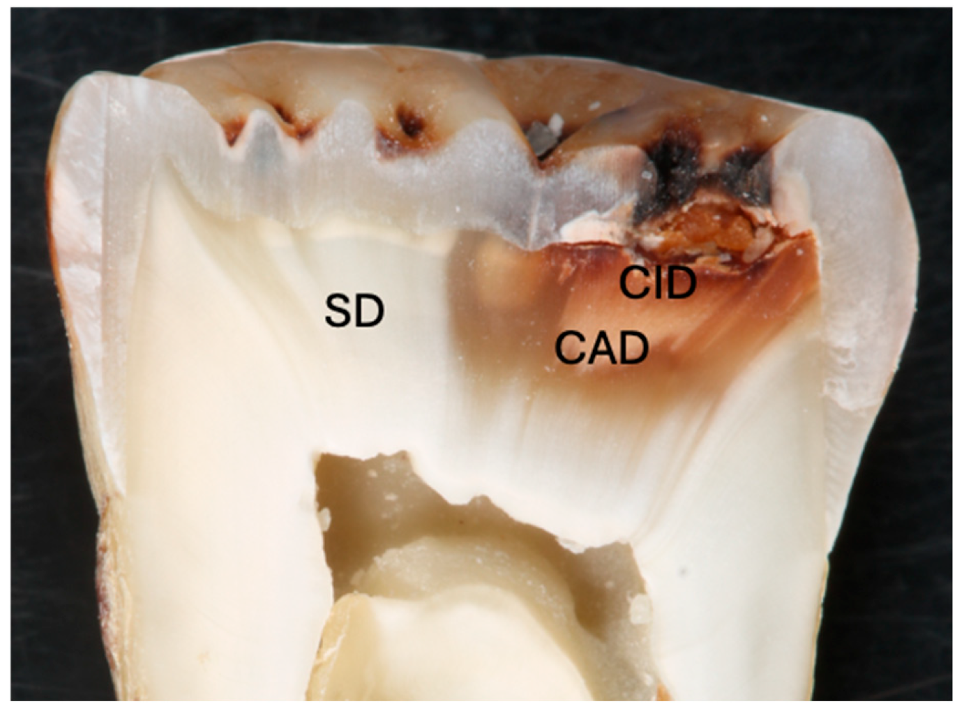 Materials 17 04853 g002 Materials 17 04853 g002