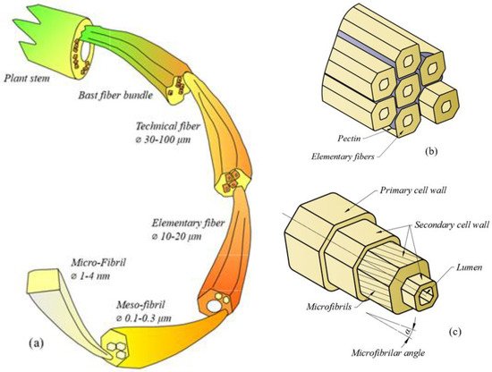 Mechanical Characterization of Flax and Hemp Fibers Cultivated in Romania