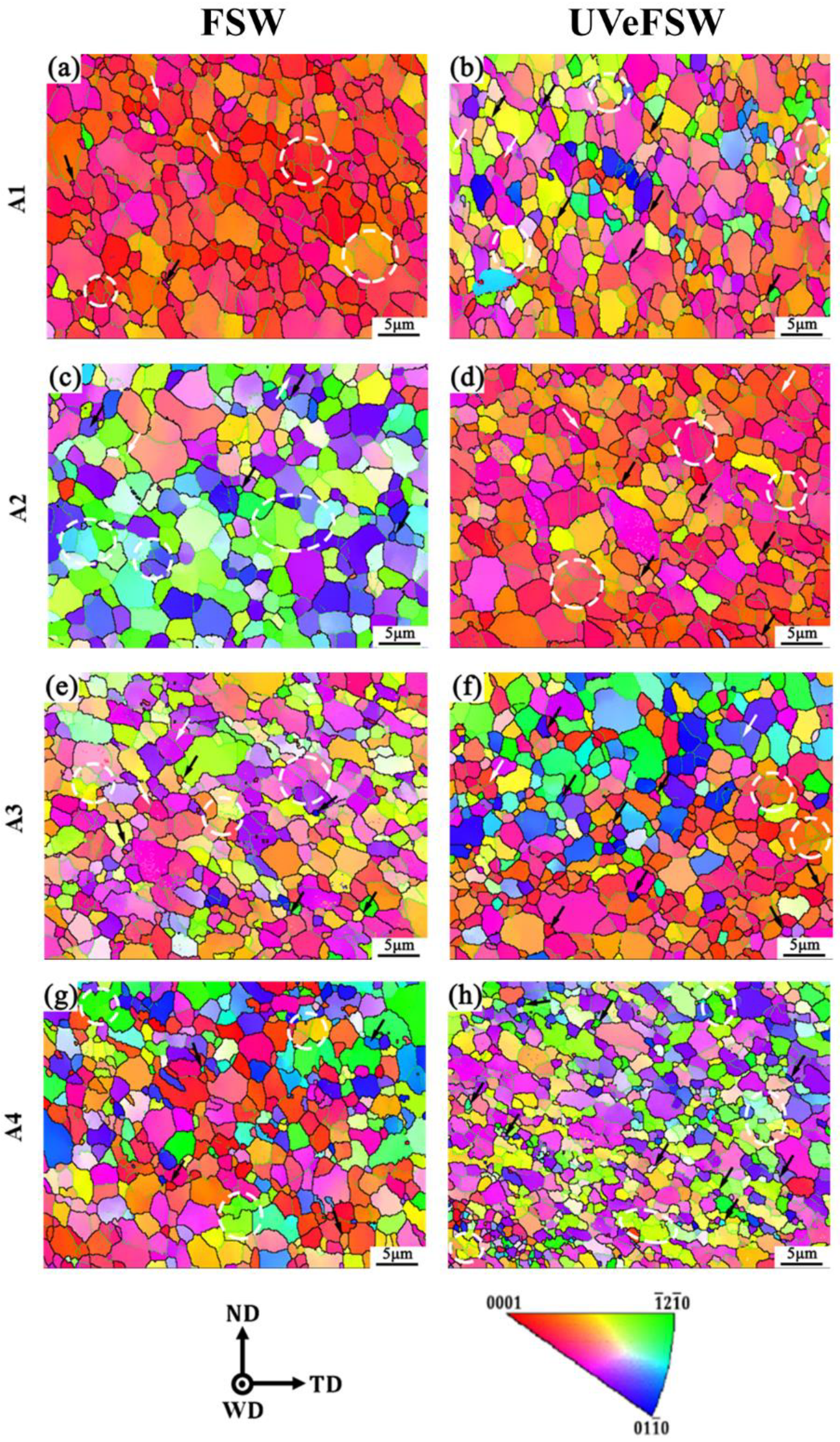 Materials 17 04874 g004