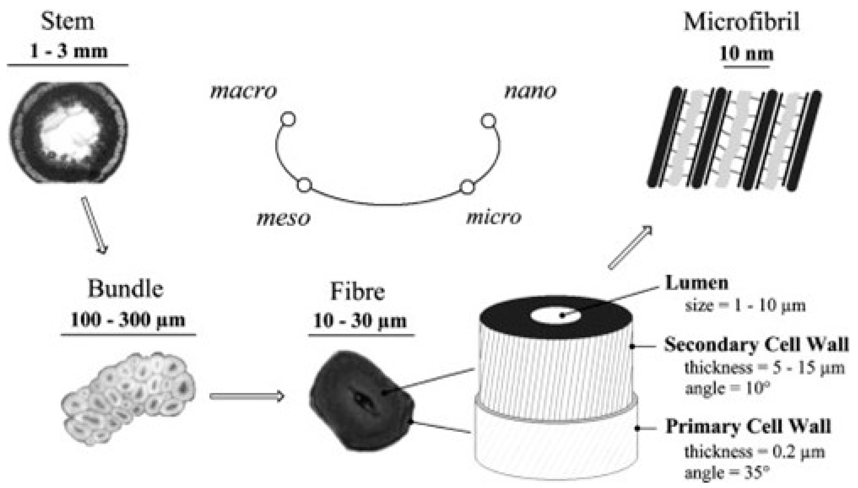 Materials 17 04878 g004