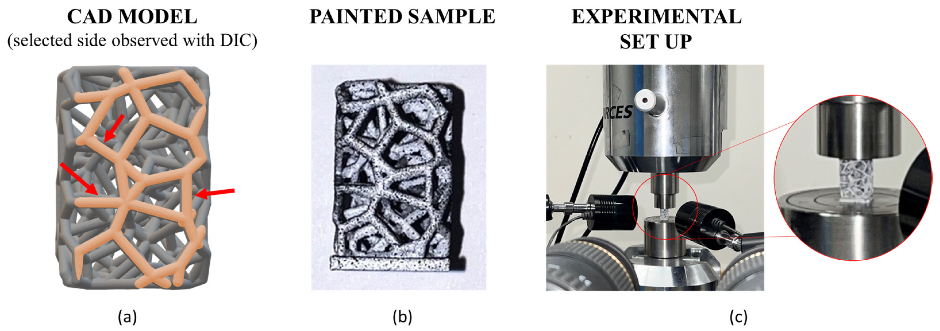 Materials 17 04879 g003