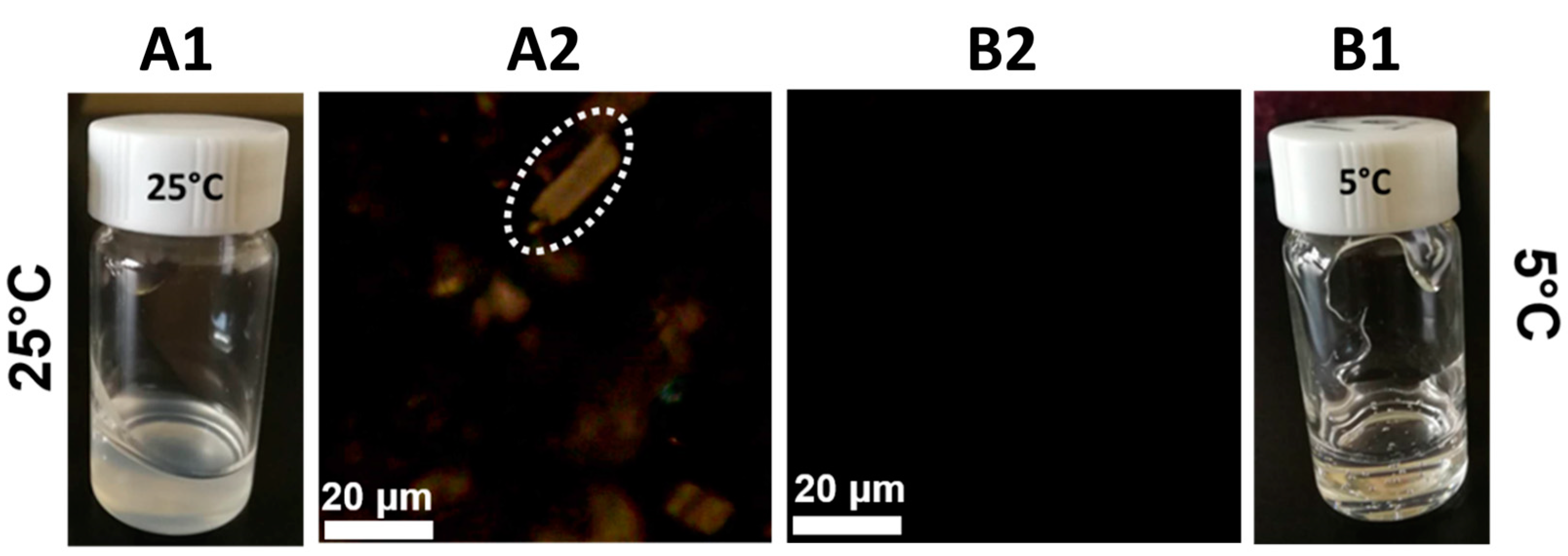 Materials 17 04886 g001