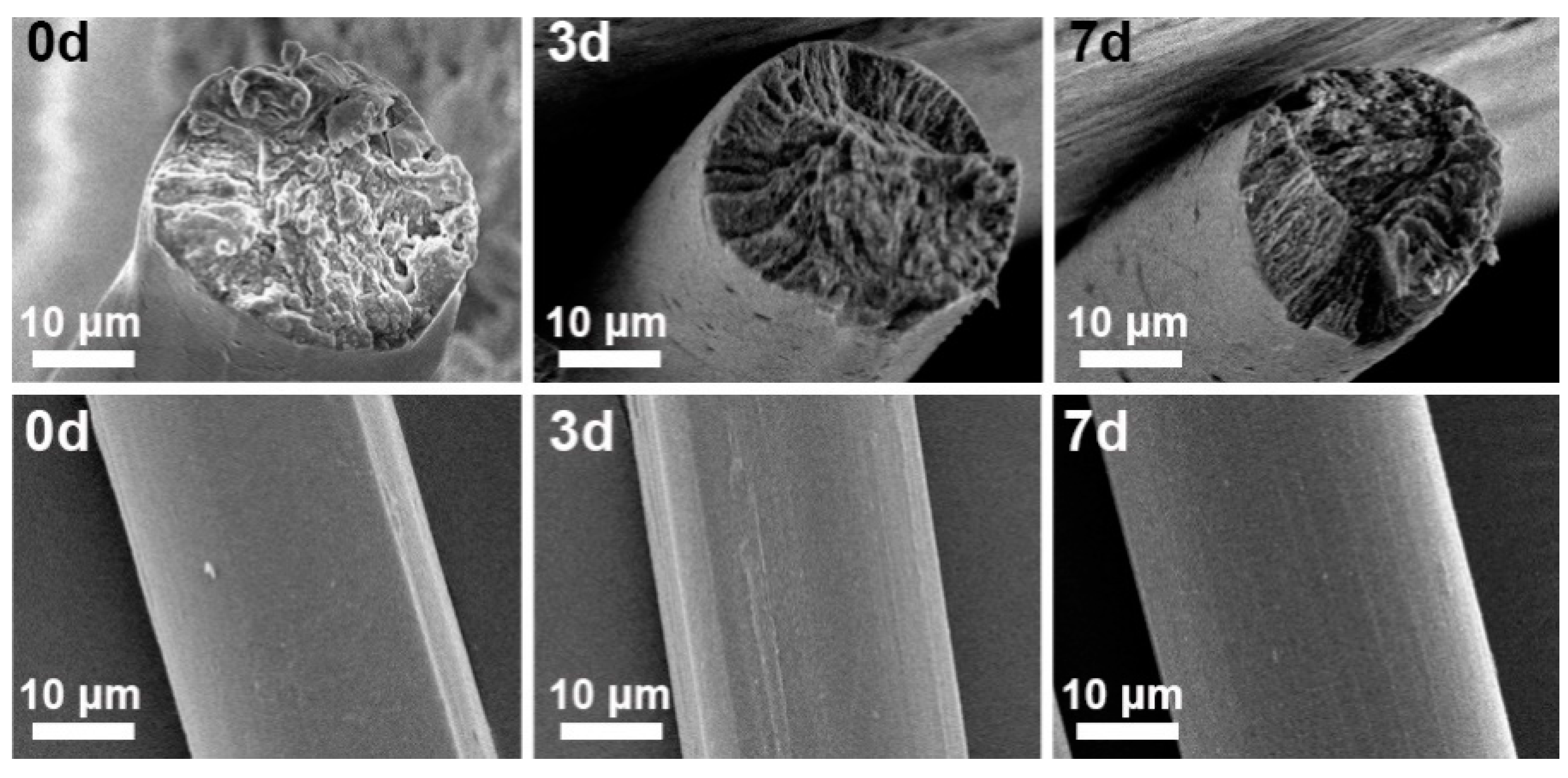 Materials 17 04886 g008