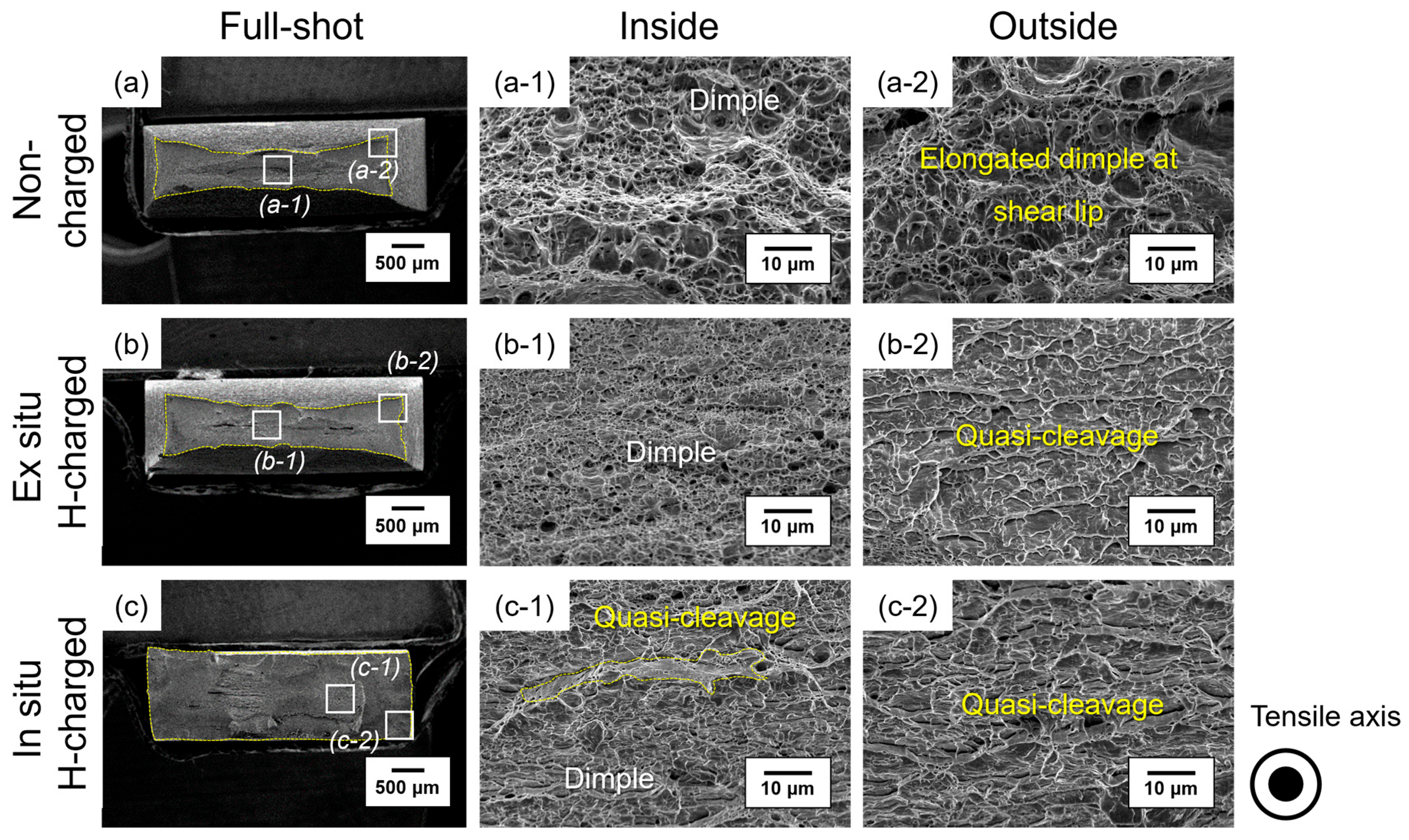 Materials 17 04887 g003