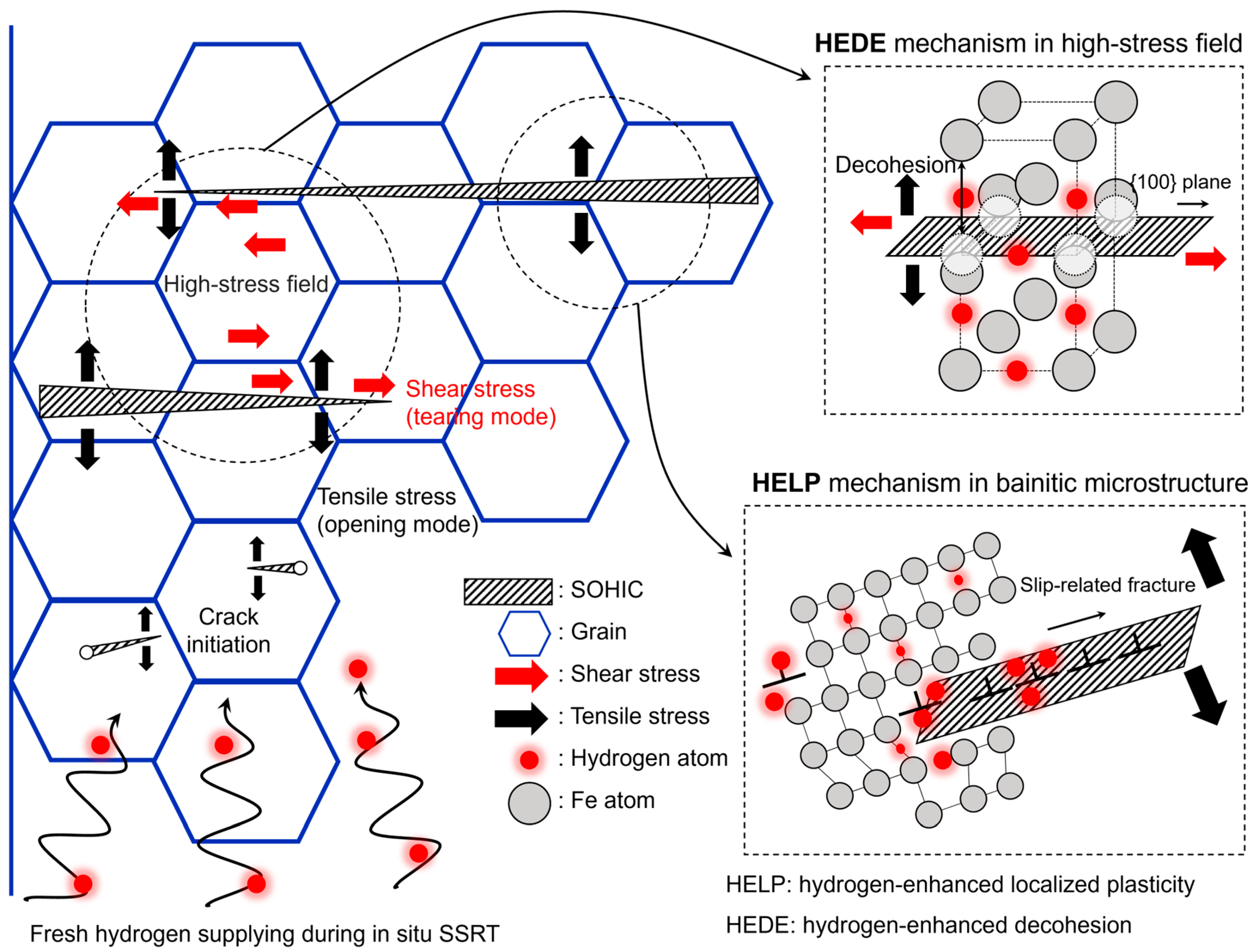 Materials 17 04887 g005
